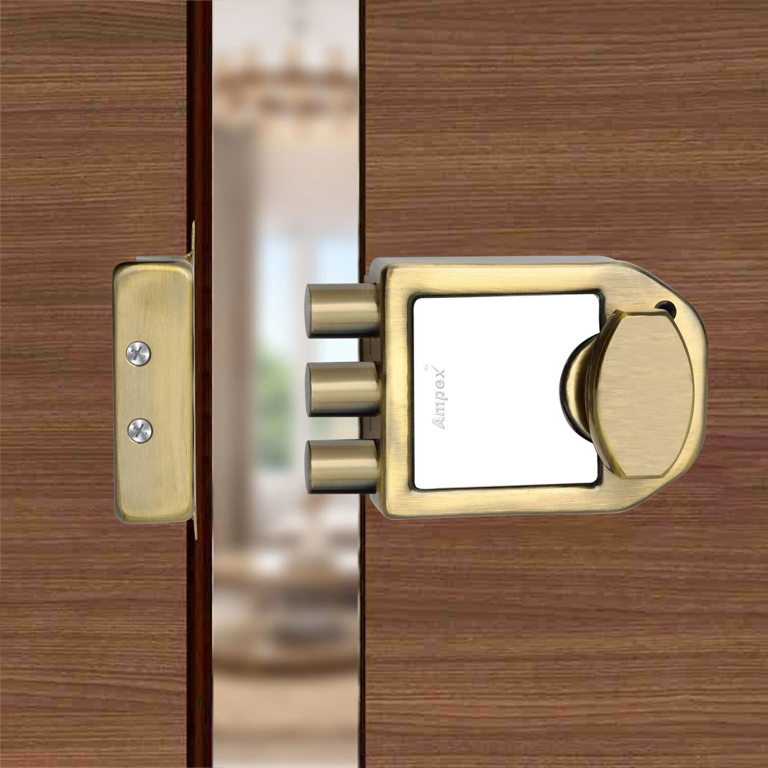 Image of AMPEX Brass, Iron, Steel Glossy Deadbolts