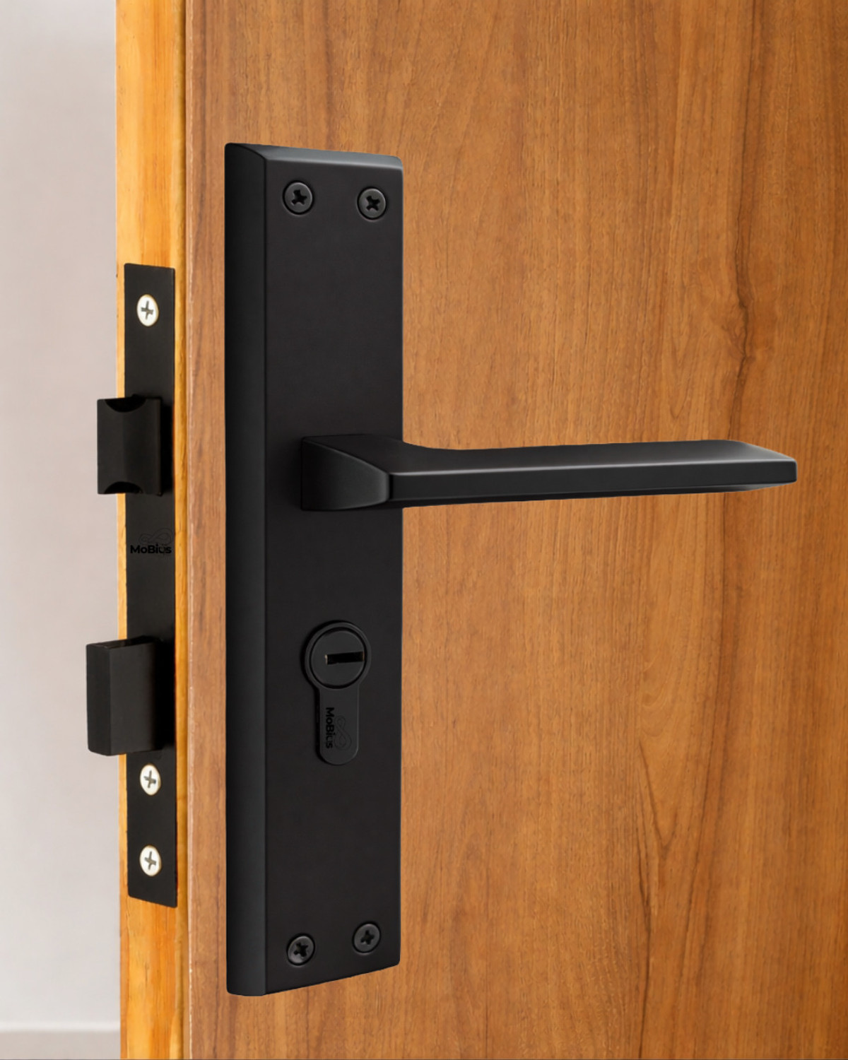Image of DOOR TOUCH Steel, Brass Matte Handlesets