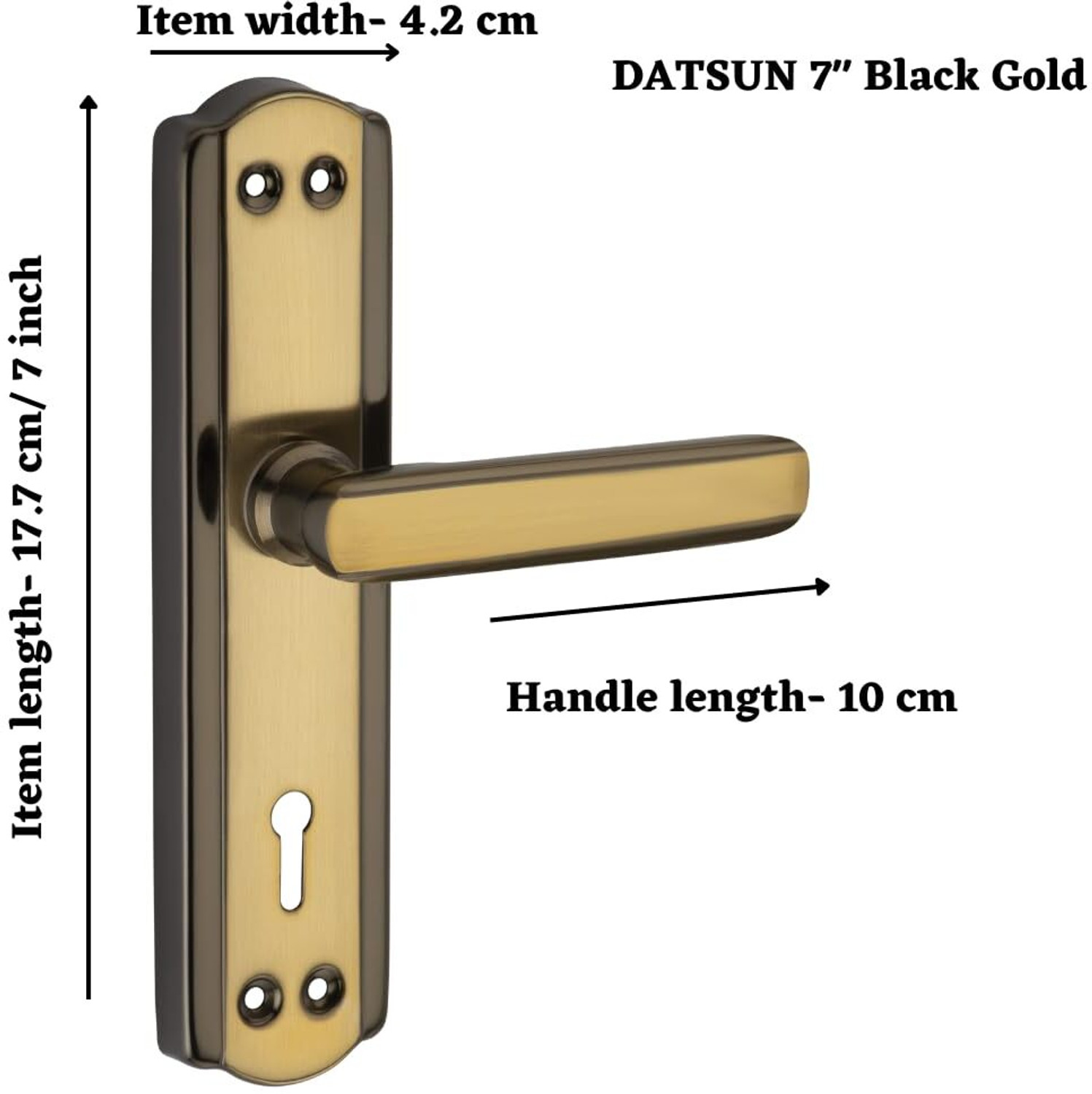 Image of PRIGMA Iron Polished Handlesets
