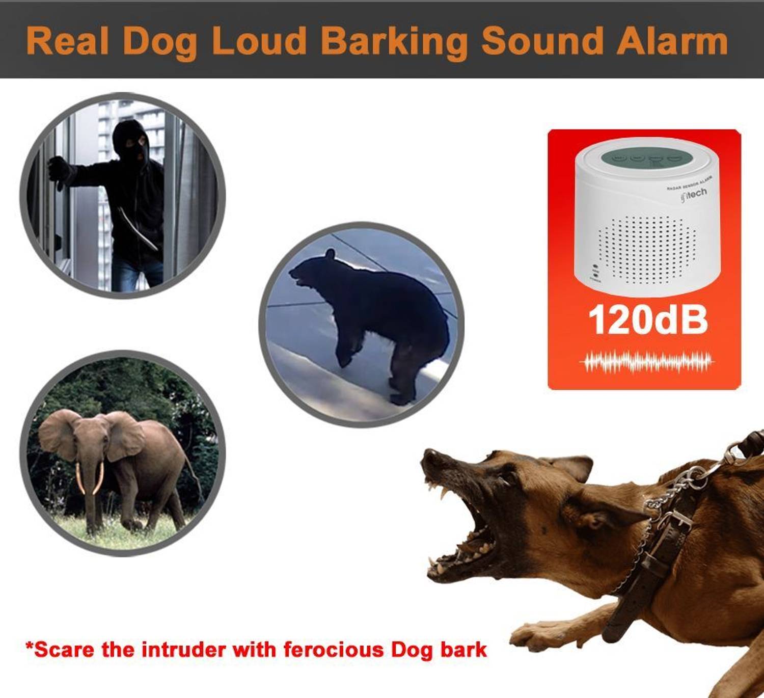 Types of Barking Dog Alarms You Can Buy