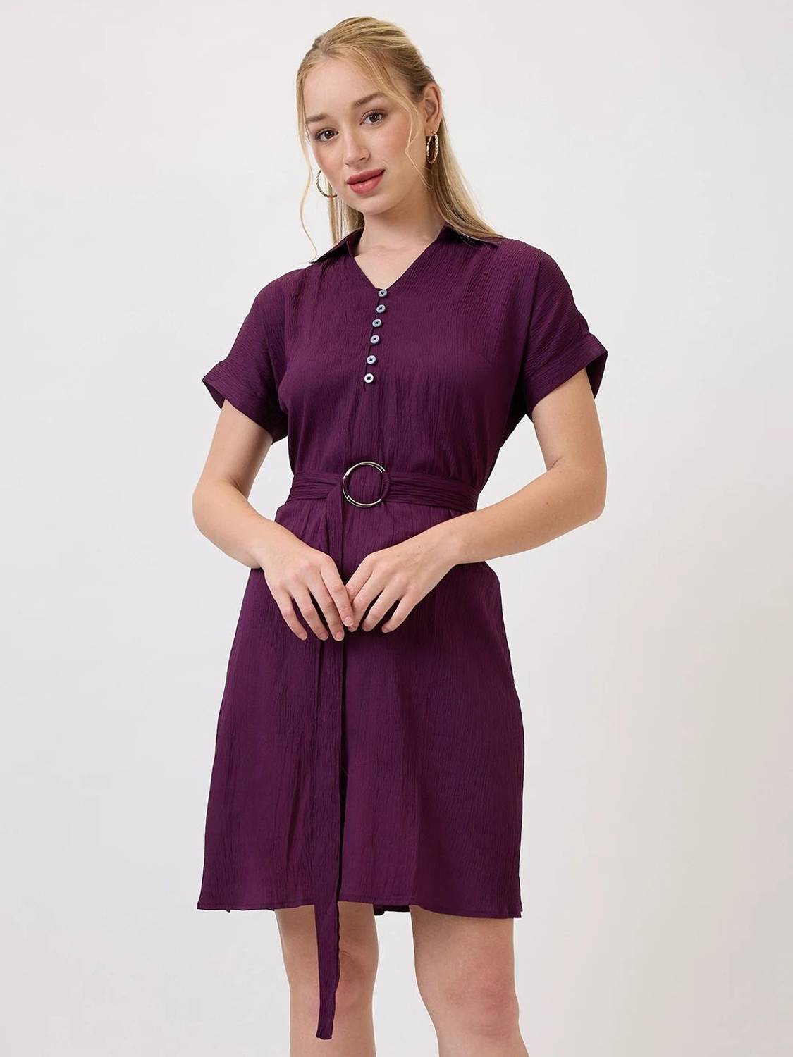 AmarAsha Women Fit and Flare Purple Knee Length Dress