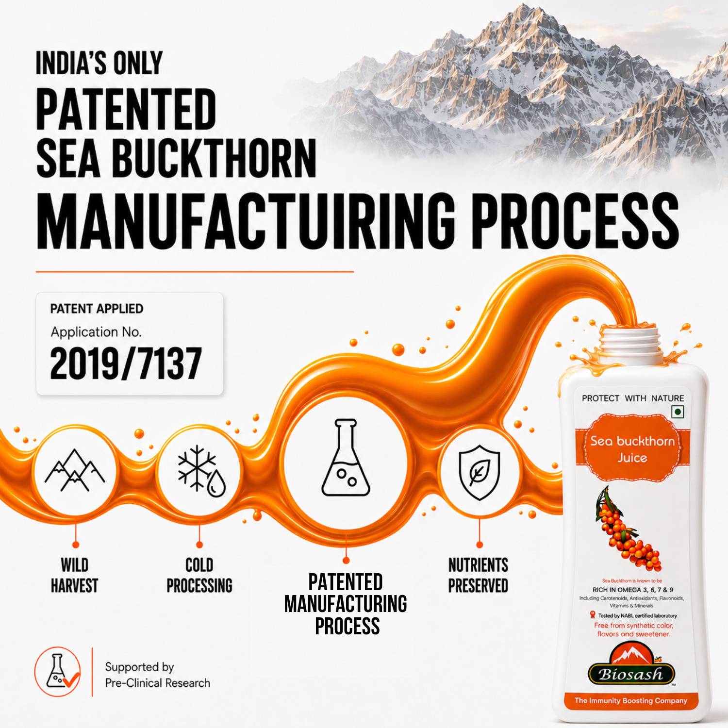BIOSASH Sea Buckthorn Juice 1L - Image 4