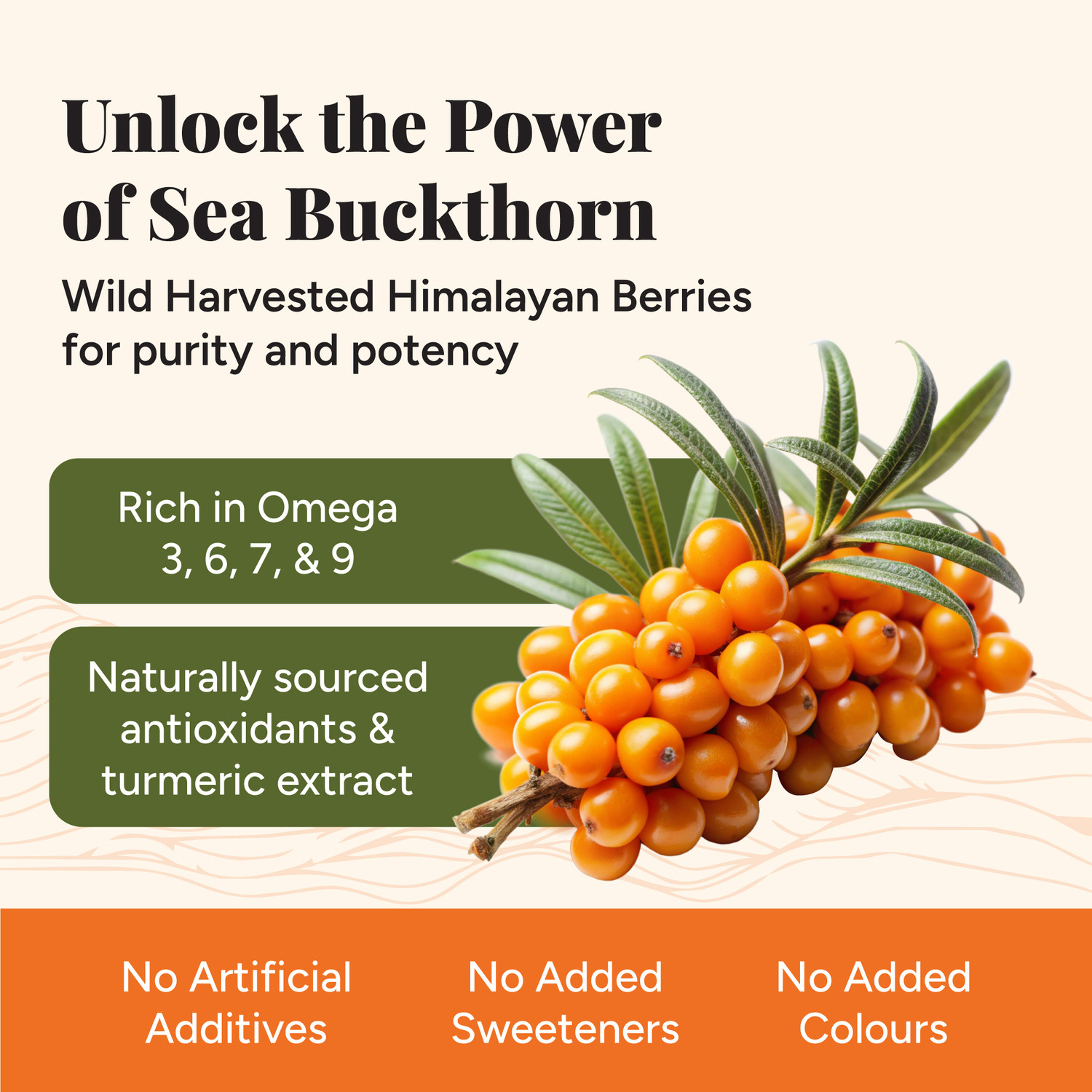 Image of TATA 1mg Sea Buckthorn Turmeric Plus Juice with Omega 7