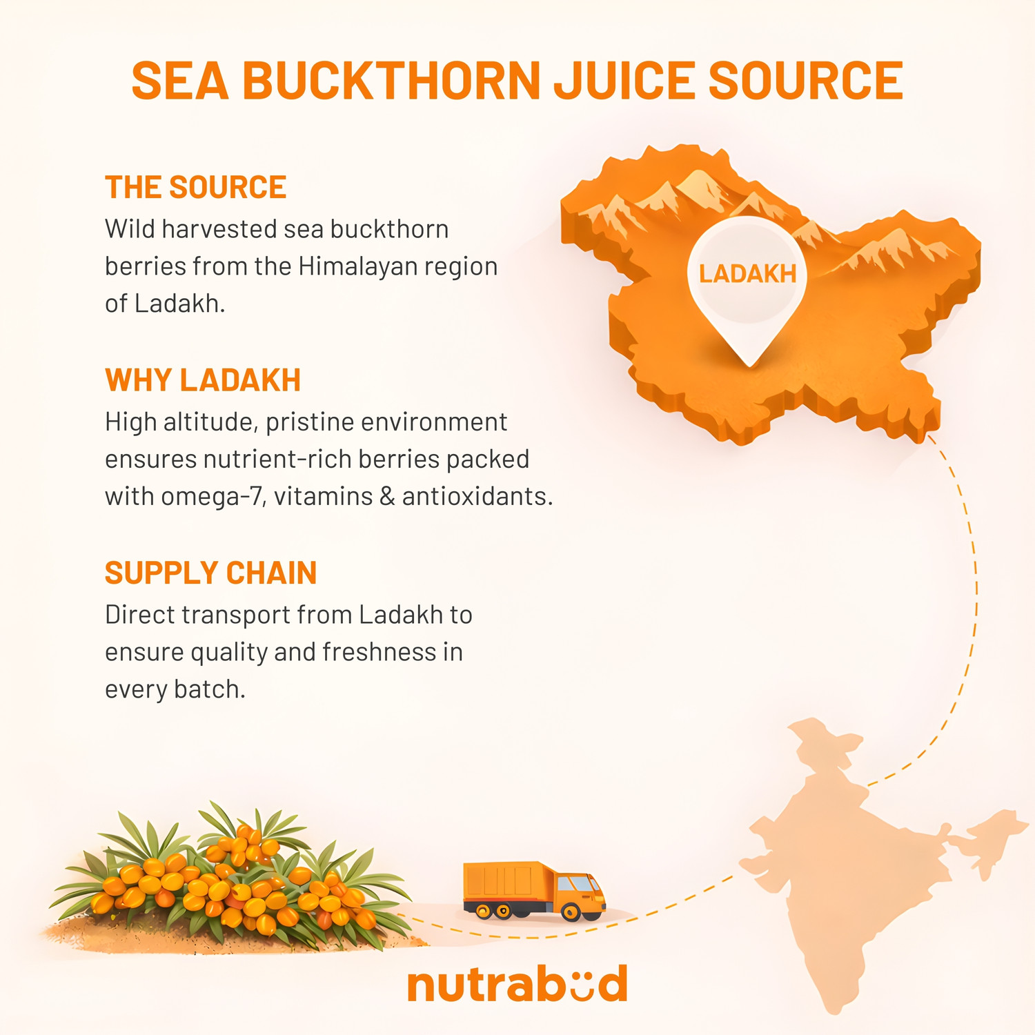 Image of Nutrabud Sea Buckthorn Berry Juice - From Ladakh - Rich in Omega-3,6,7,9 & Vitamin-C