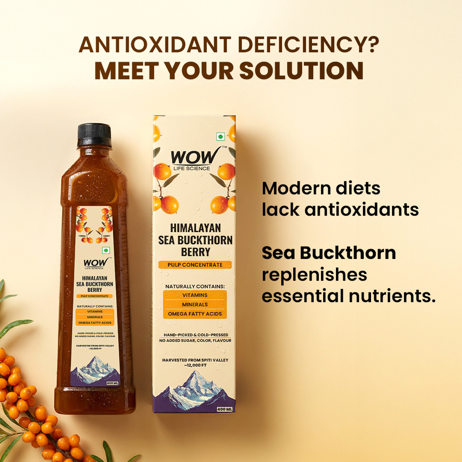 Image of WOW Life Science Sea Buckthorn Berry Pulp �?? 400 ml (Omega 3-6-7-9 & Vitamins)