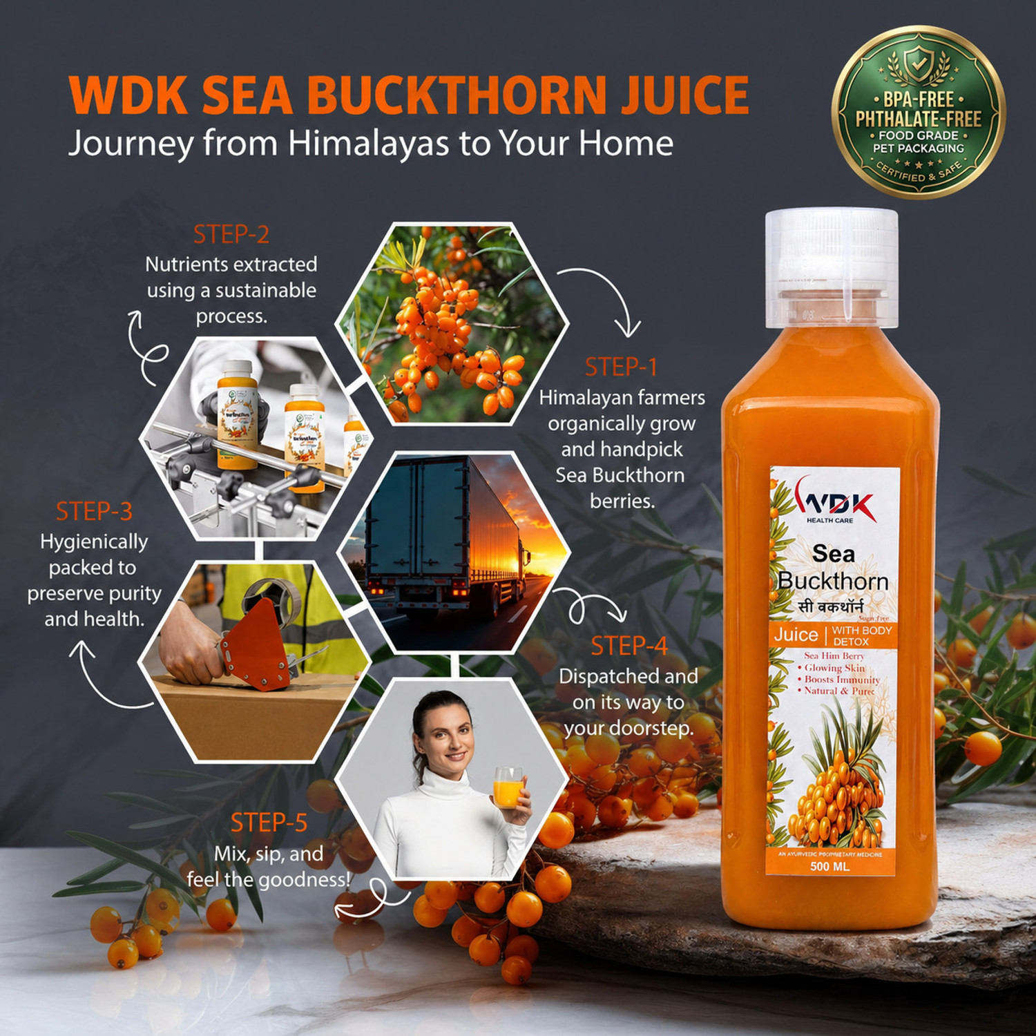 Image of WDK Sea Buckthorn Juice | Rich in Omega 3, 6, 7 & 9 | Vitamin C Source