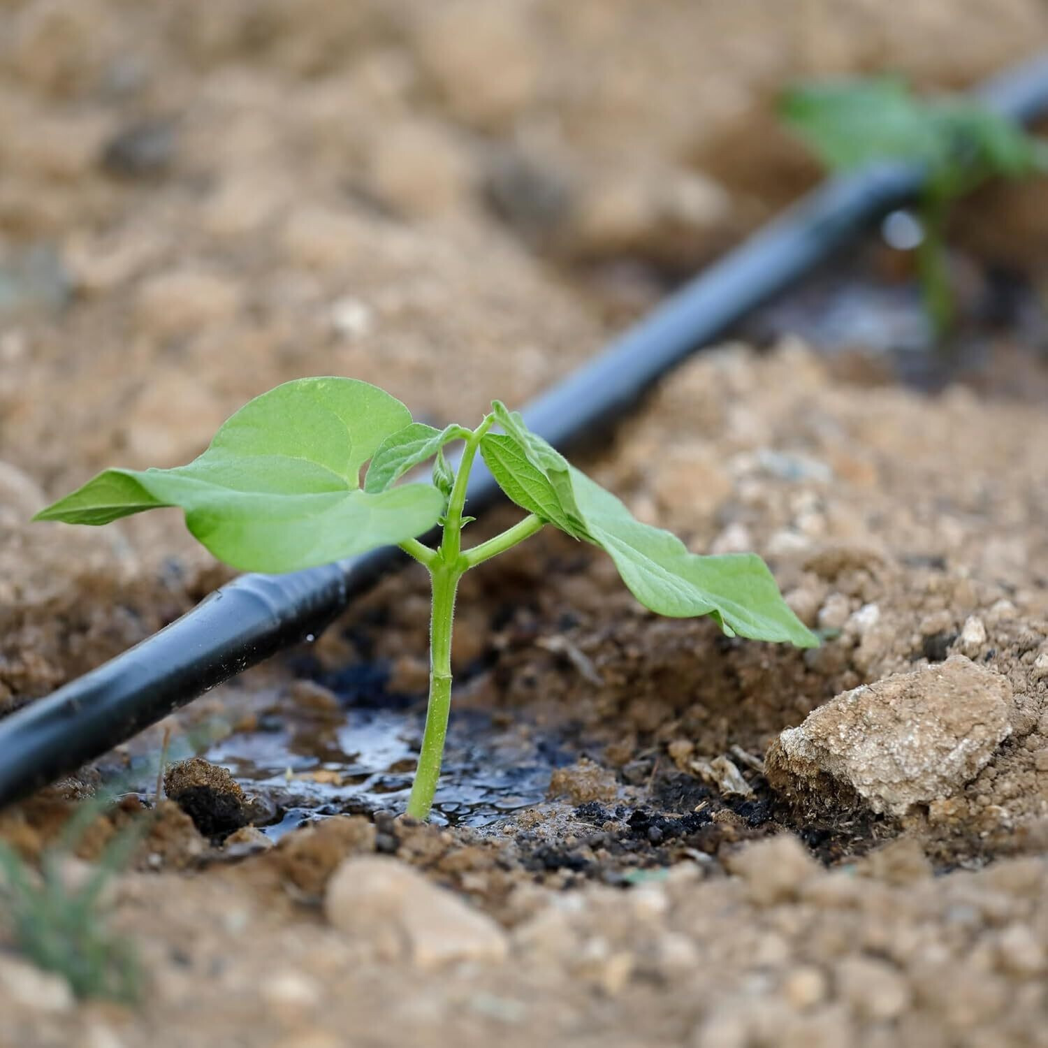 Image of mahira Drip Irrigation Pipe 16 mm, 25 Mtr Black Drip Irrigation Kit