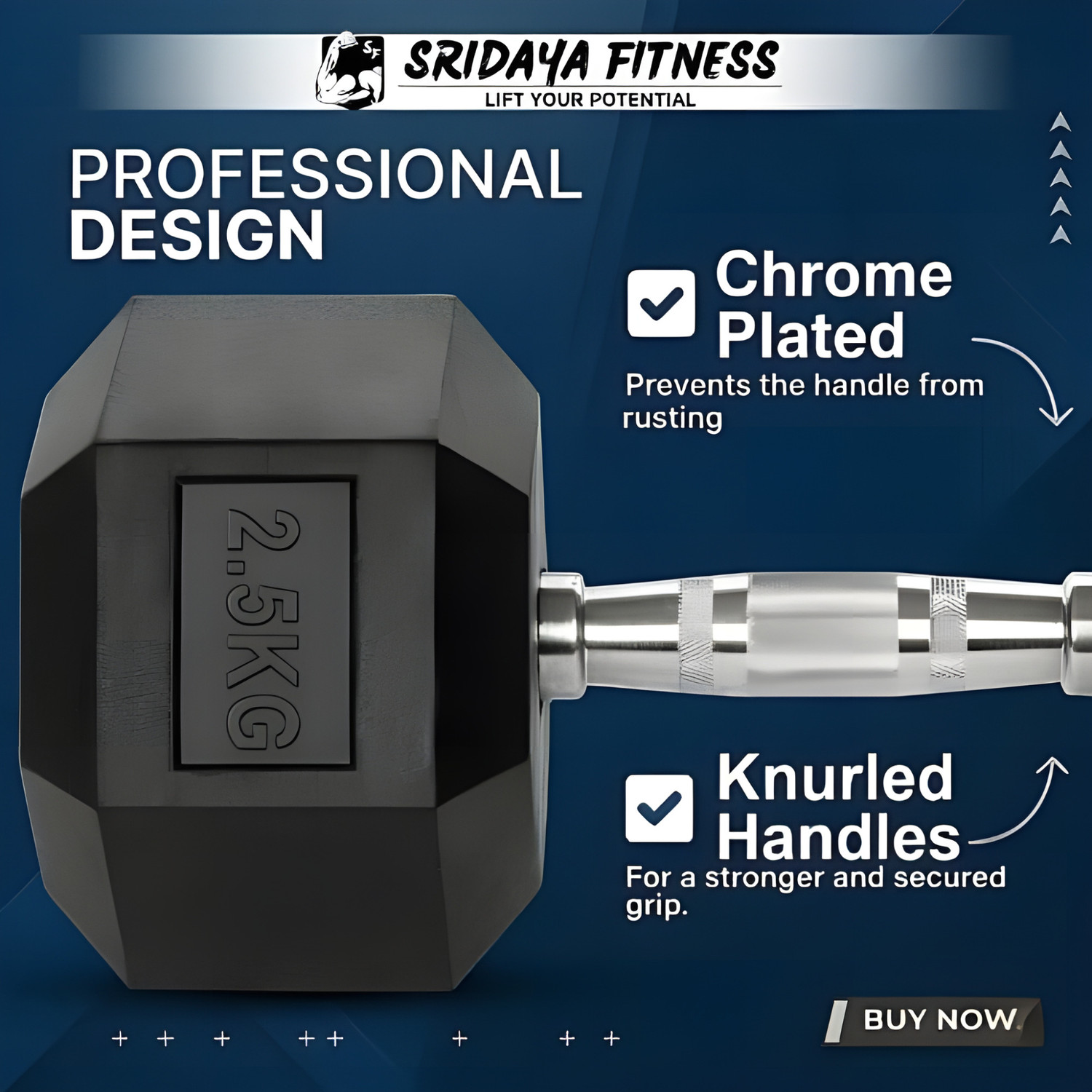 Image of SRIDAYA HEX DUMBBELL 10KG (2PCs X 10Kg) Fixed Weight Dumbbell