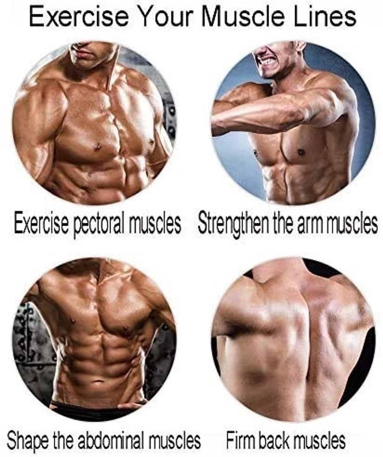 Image of SHIVAM SPORTS 10 KG PVC Weight Plates with Adjustable 14 inch Dumbbell Rods and Jump rope gym . Adjustable Dumbbell