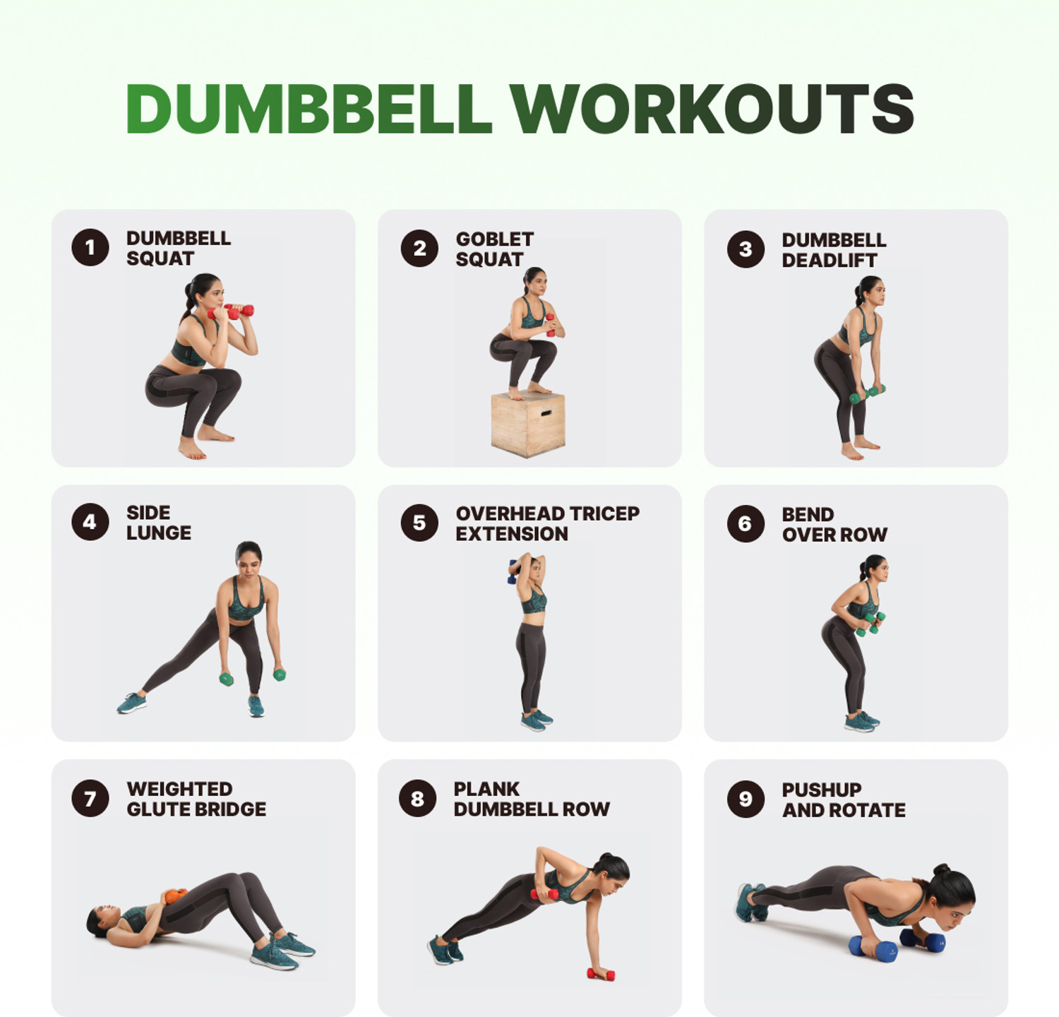 Image of Cult Neoprene Dumbbell 4KGx2 For Home Gym Workout For Men &Women (Pack of 2) Fixed Weight Dumbbell