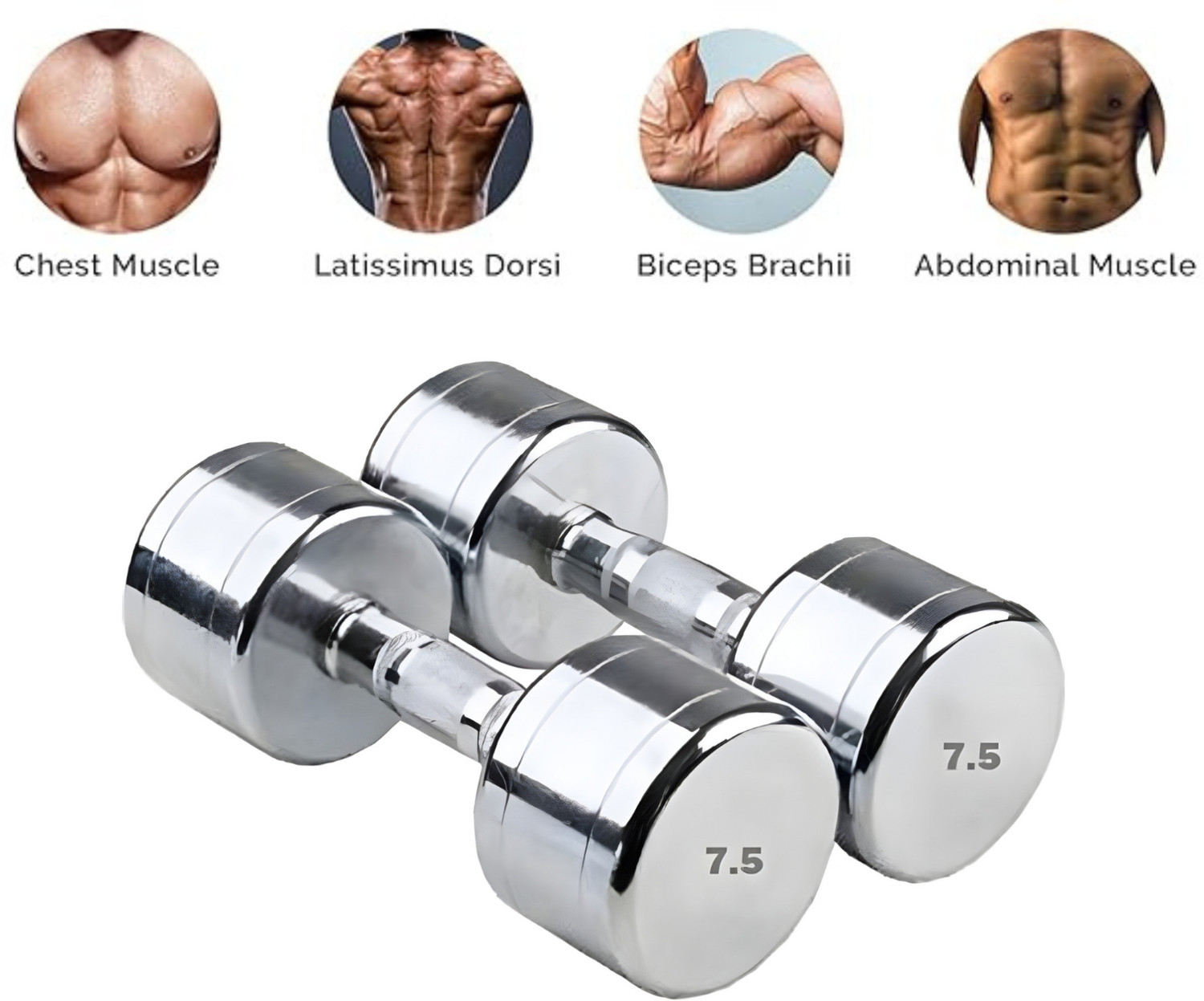 Hridya Trade Exclusive 7.5 Kg * 2 Pcs STEEL CHROME PLATED Fixed Weight ...