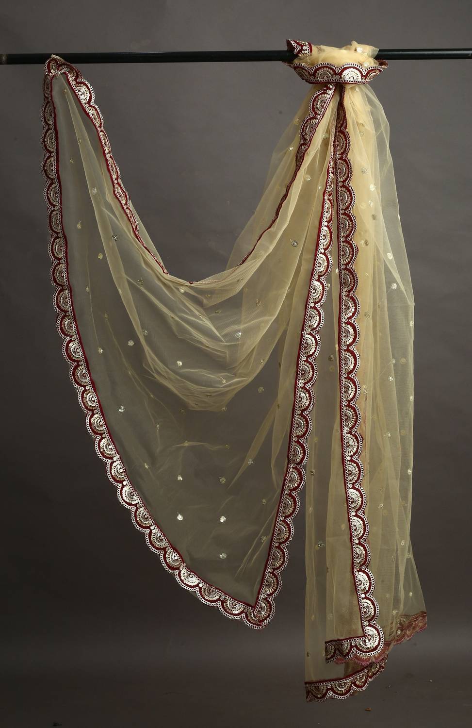 MARUTI KRUPA ENTERPRISE Net Embroidered Beige Women Dupatta