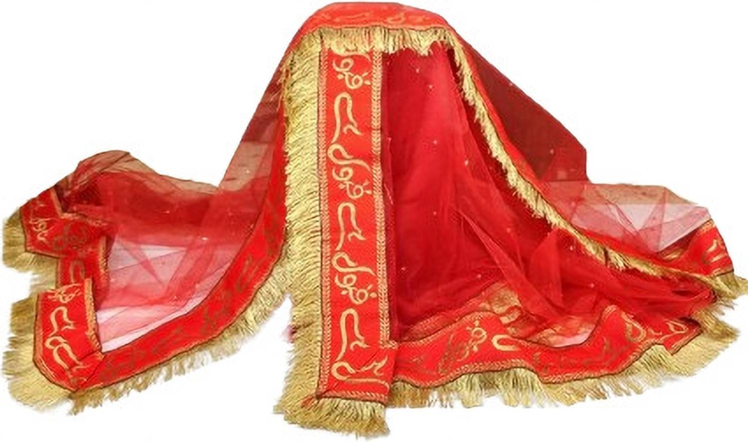 Autobuyenterprise Net Embroidered Women Dupatta