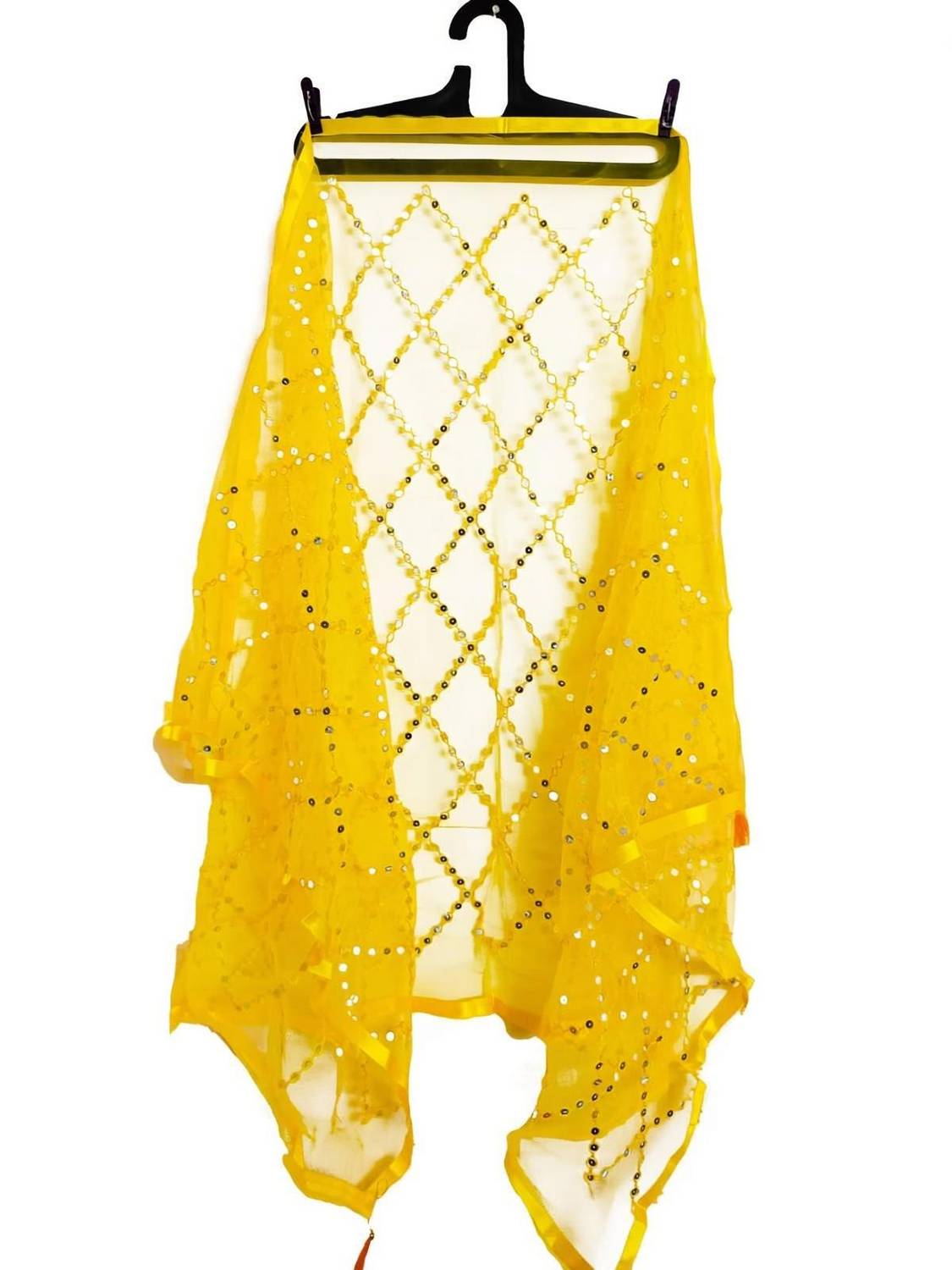 abhikart Net Embroidered Women Dupatta