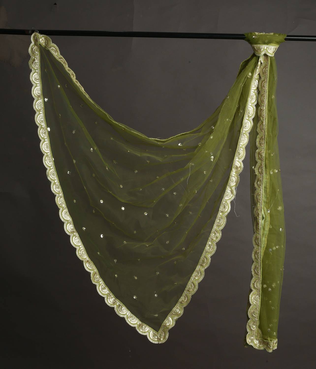 MARUTI KRUPA ENTERPRISE Net Embroidered Green Women Dupatta