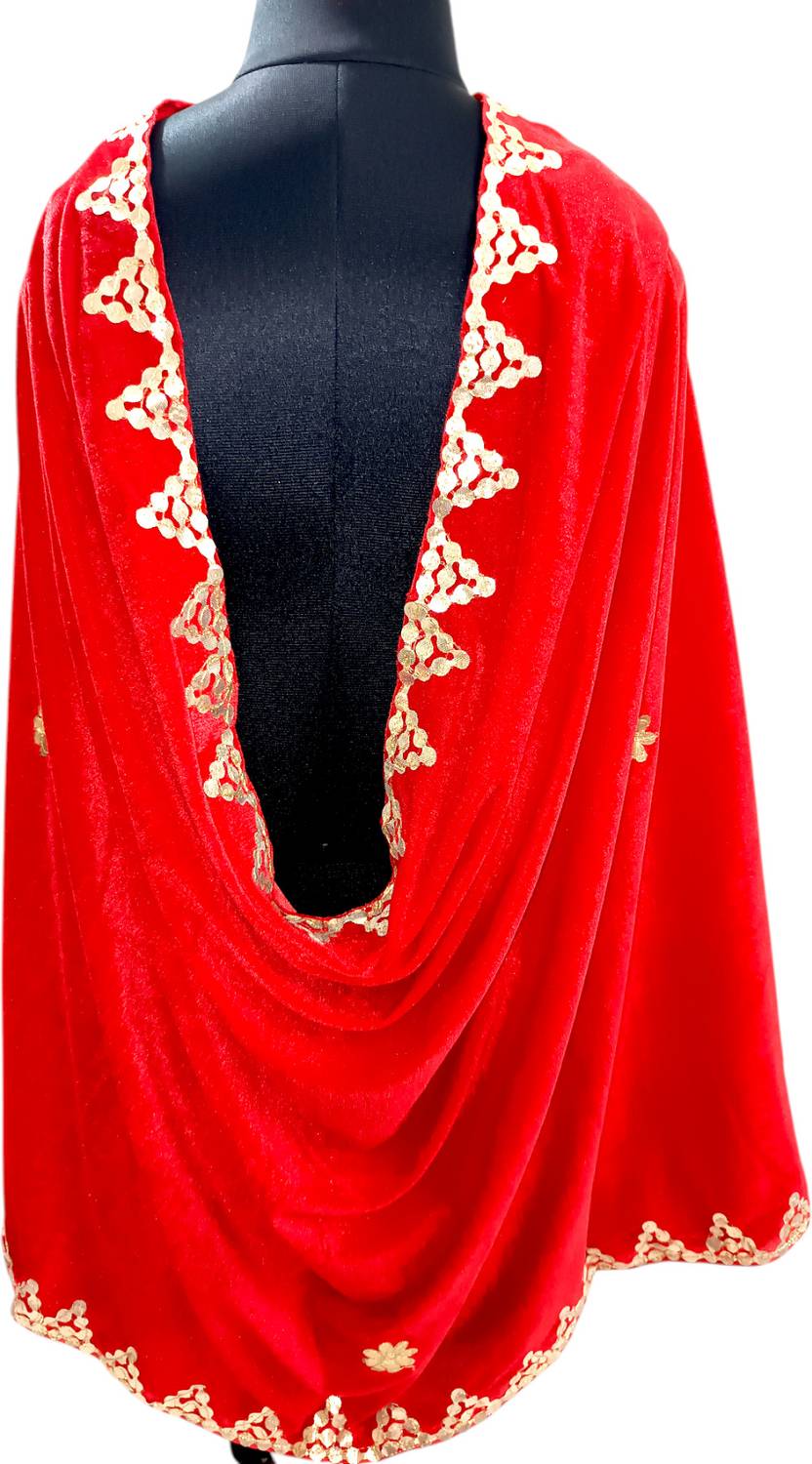 ARIPAN Velvet Embroidered Women Dupatta