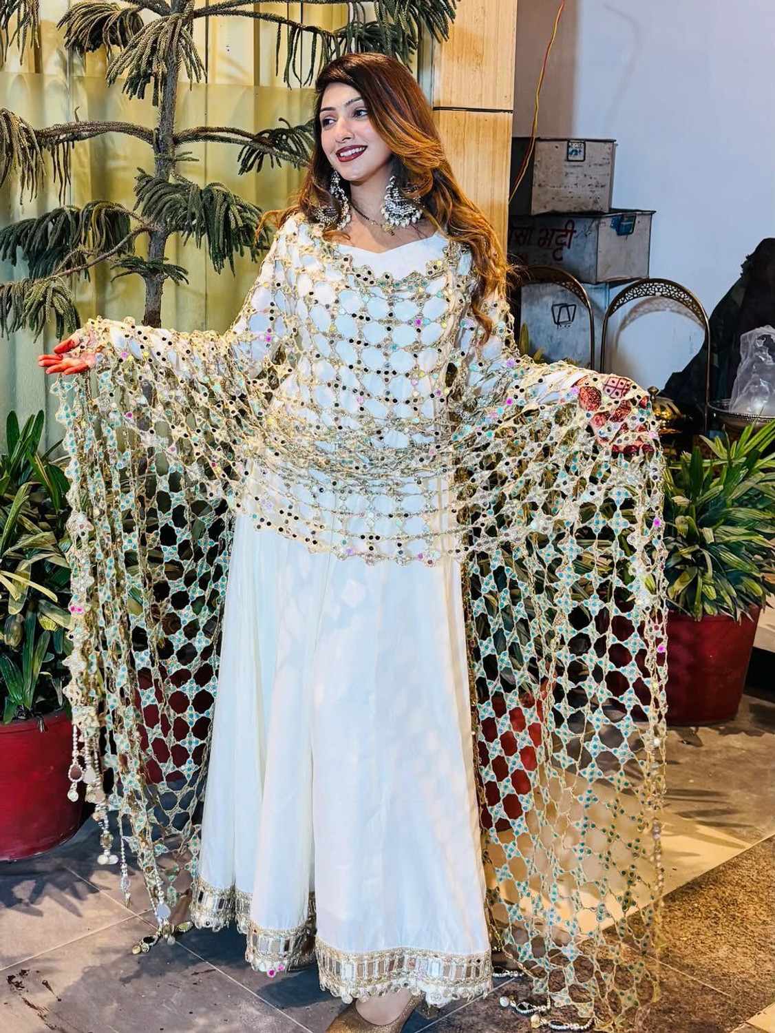 VASTRABELLA Net Embroidered Women Dupatta