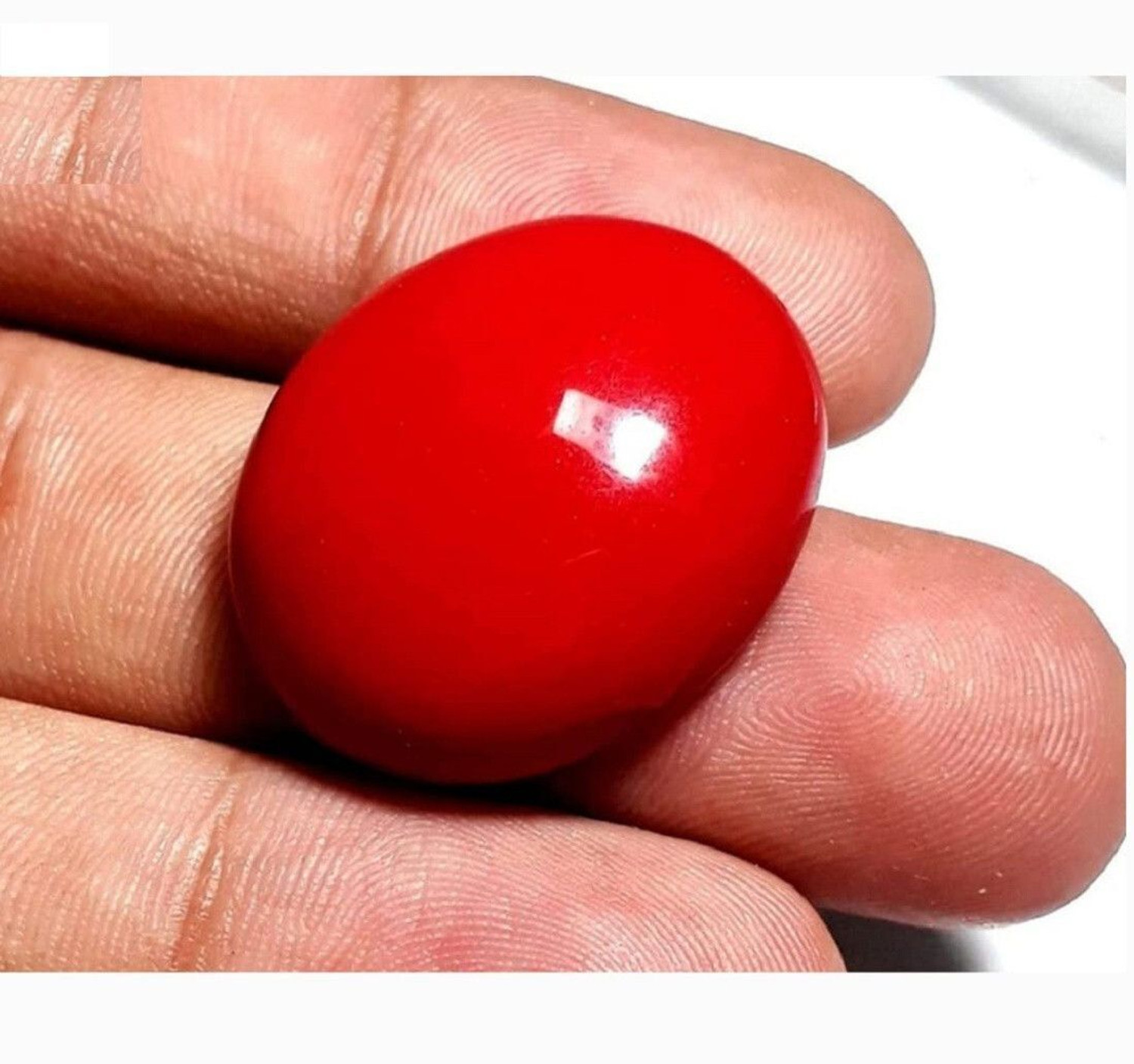 Image of Aanya Jewels Red moonga (Moonga) 10.25 Ratti Gemstone Oval Shape Rashi Ratan Crystal Stud Earring
