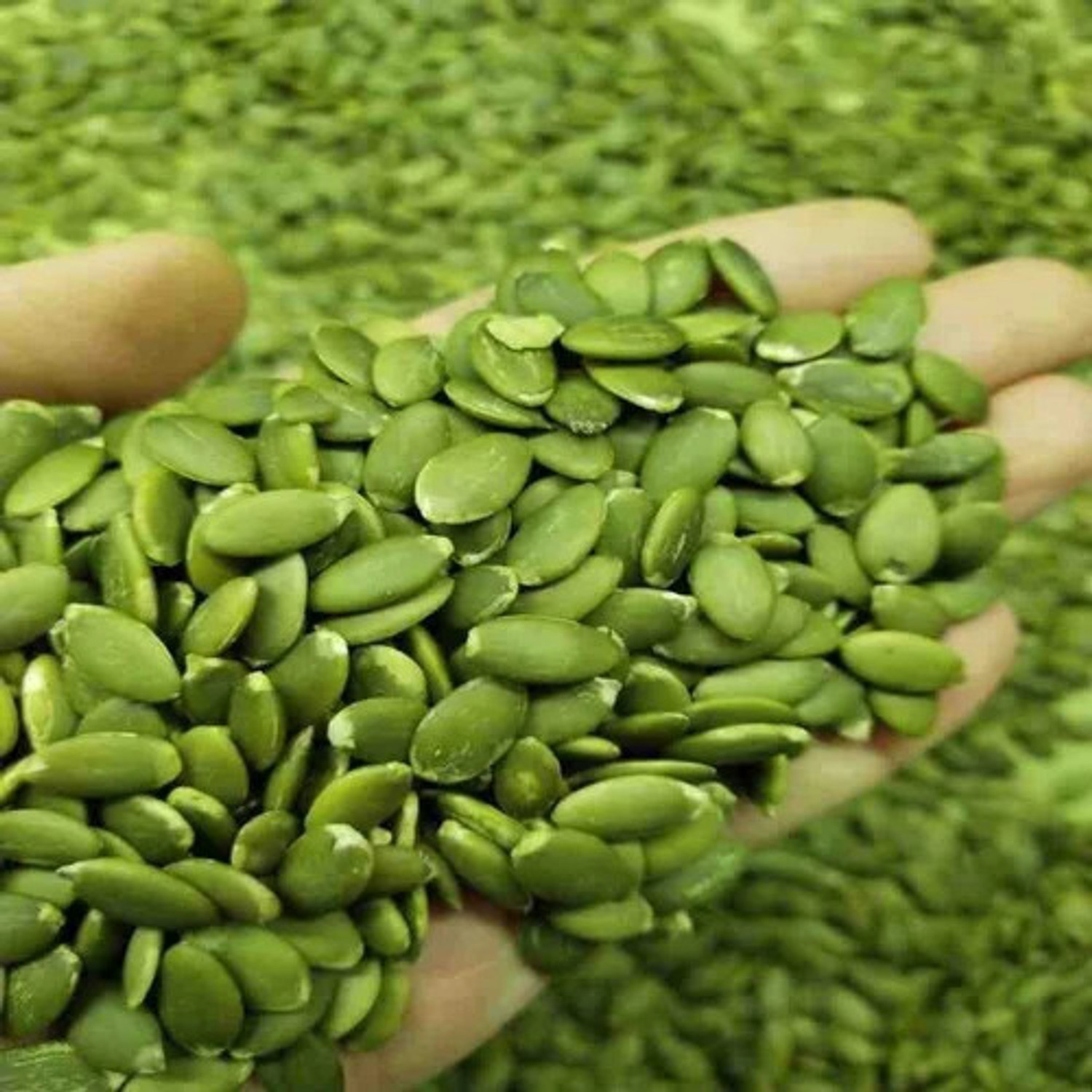 Image of BR CART Raw Pumpkin Seeds | Protein and Fiber Rich Superfood for Eating Organic Pumpkin Seeds (500 g)