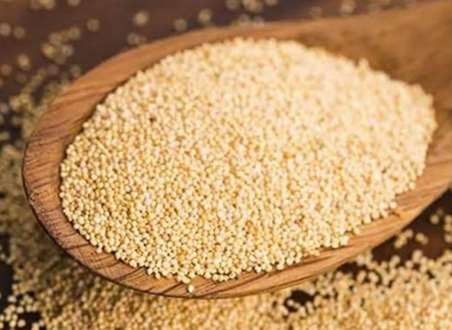 Image of Nut Urge Poppy Seed 200gm(Khas khas) Poppy Seeds