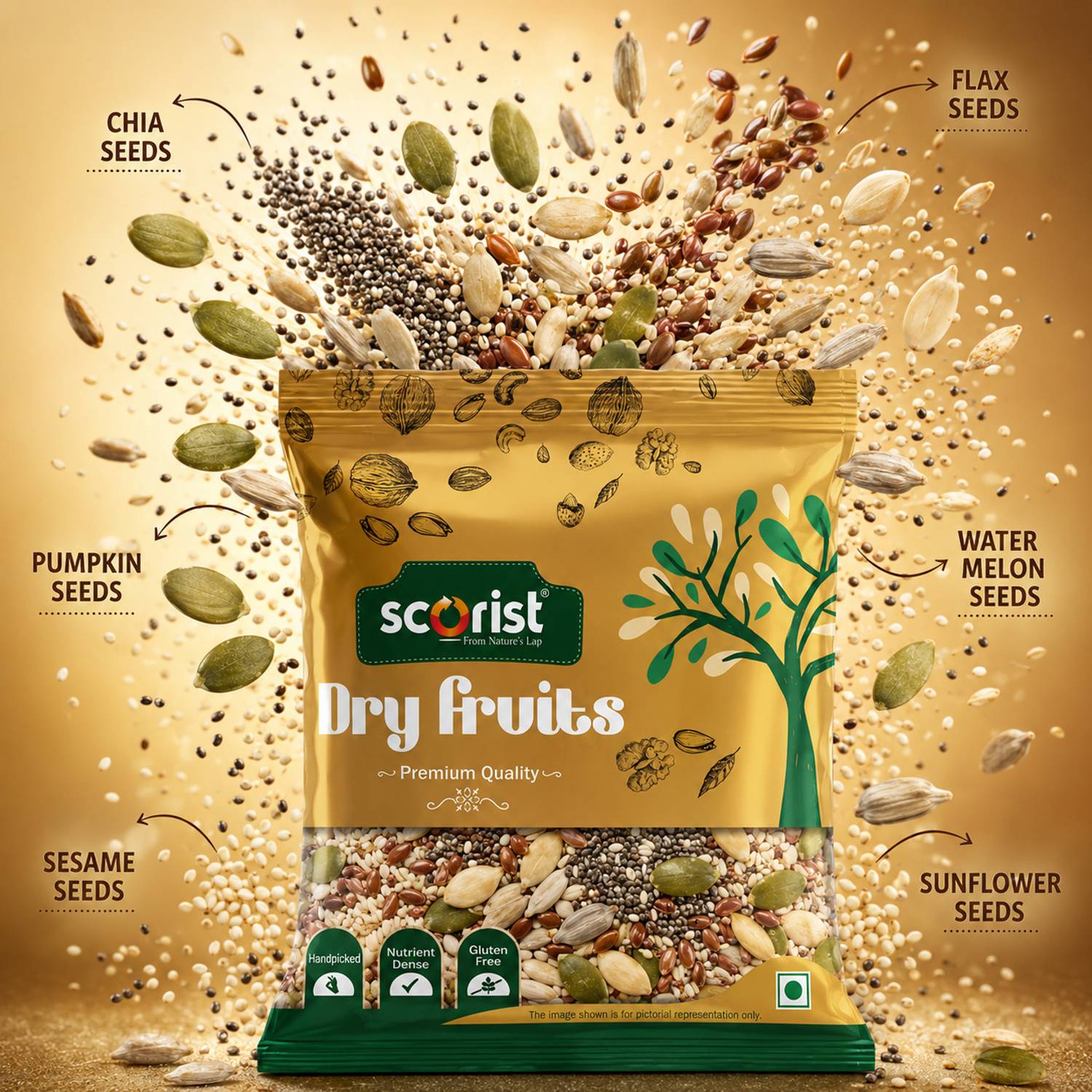Scorist Popular Seed Mix 6 in 1, 1kg - Image 4