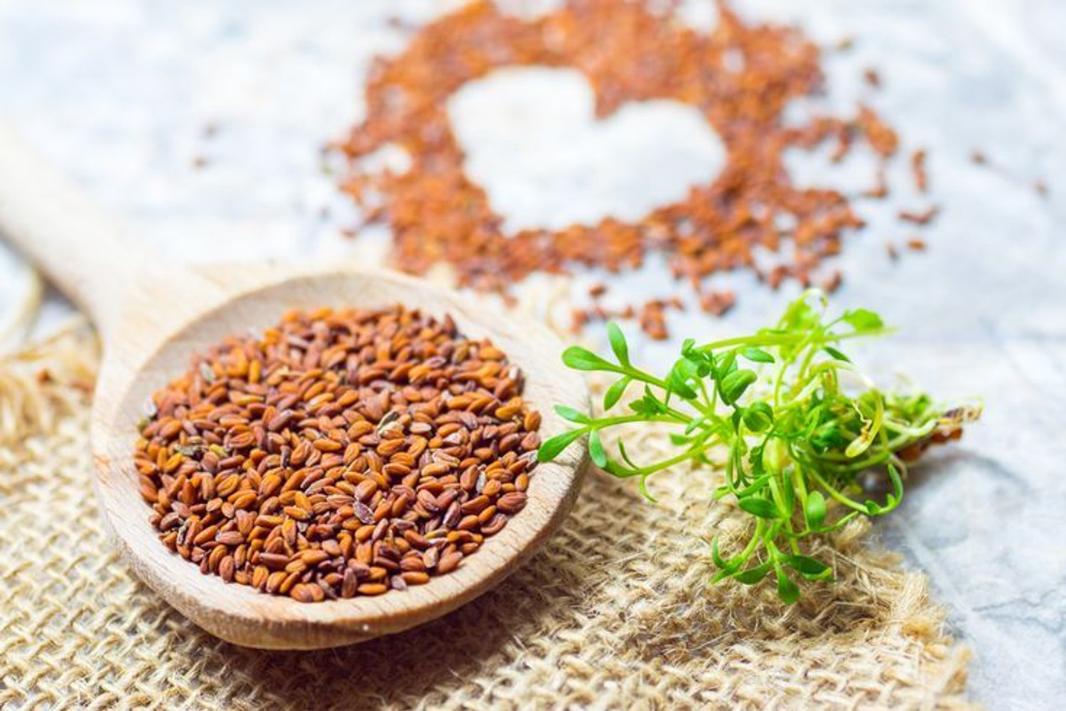 Image of ORGANIC PACIFIC PREMIUM GARDEN CRESS HALIM SEEDS | IRON RICH AYURVEDIC SUPERFOOD | HIGH PROTEIN Seed