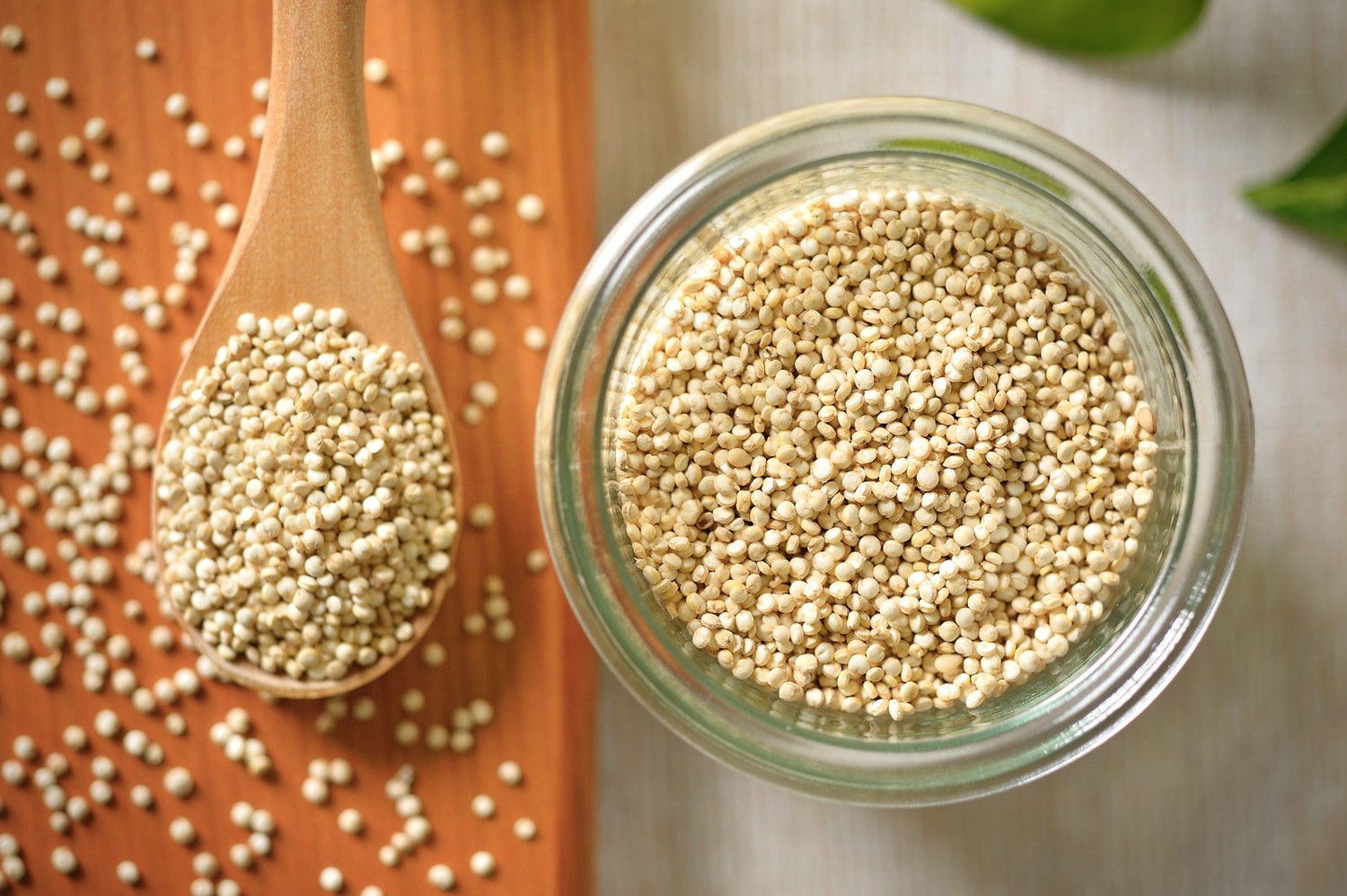 Image of Marwar Quinoa Seeds (Natural Organic, White, Protein Rich & Gluten Free Super-Food) 1 kg x 5 (Super Saver) Pack Quinoa Seeds