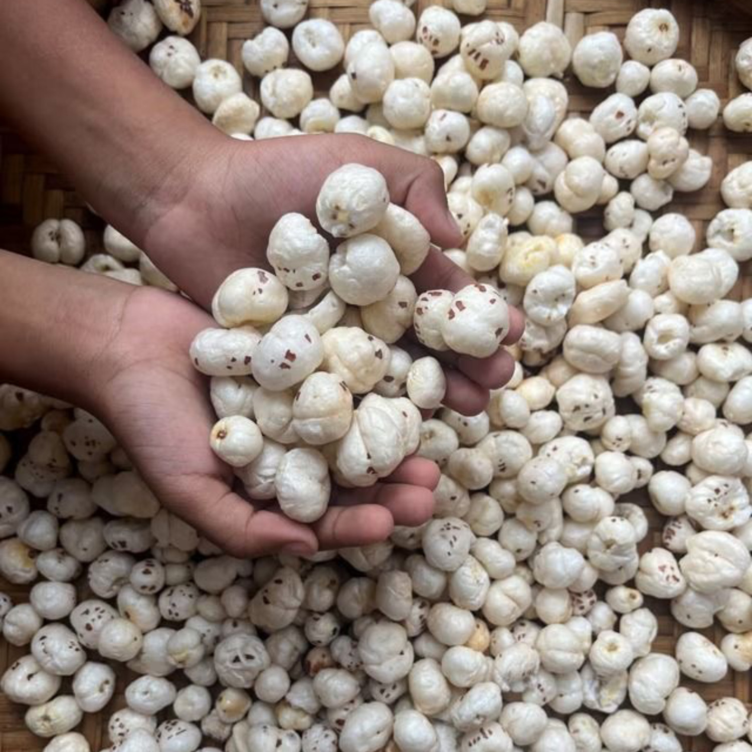 Image of niladri nuts Premium Makhana