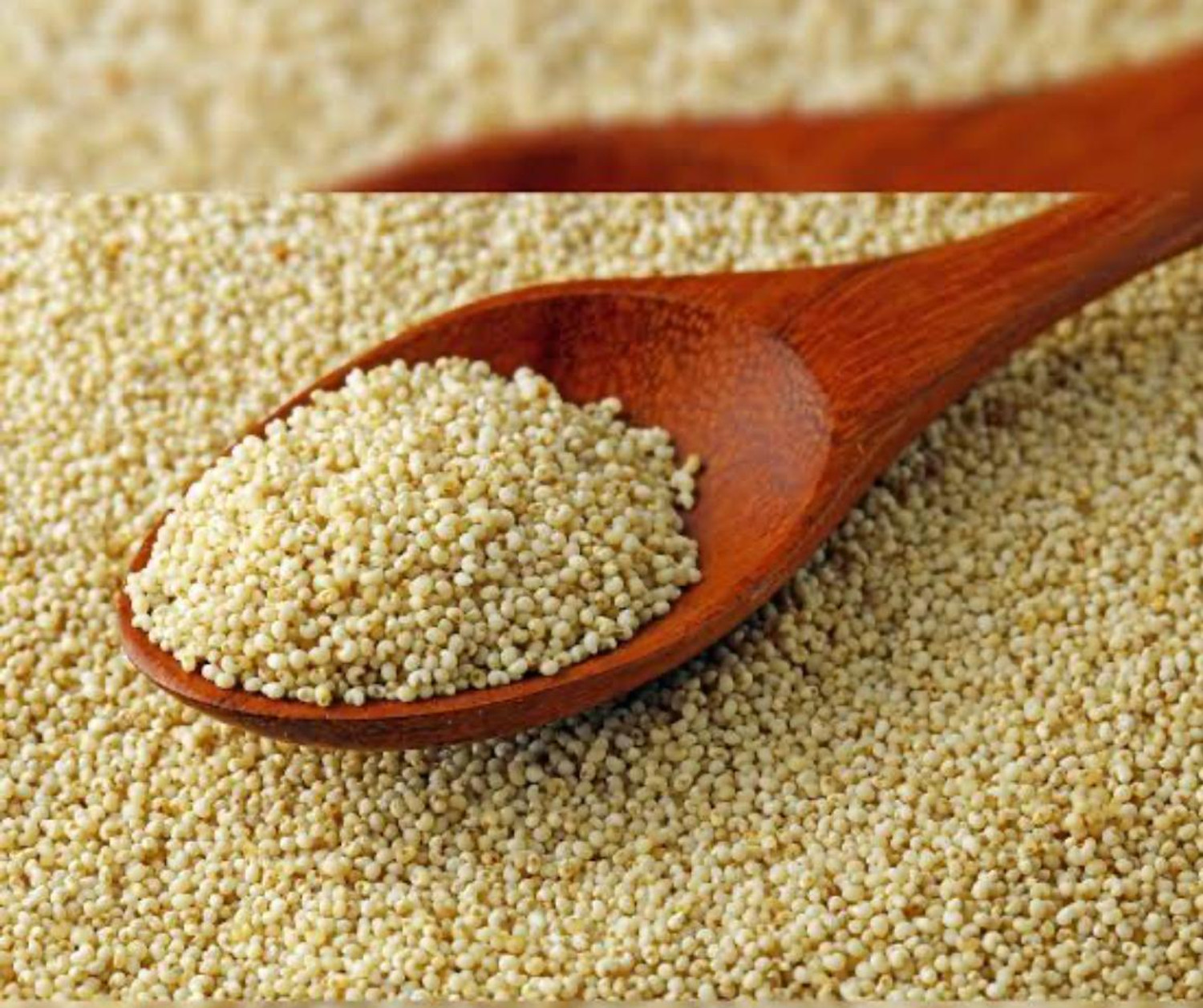 Image of Nut Urge Poppy Seed 200gm(Khas khas) Poppy Seeds