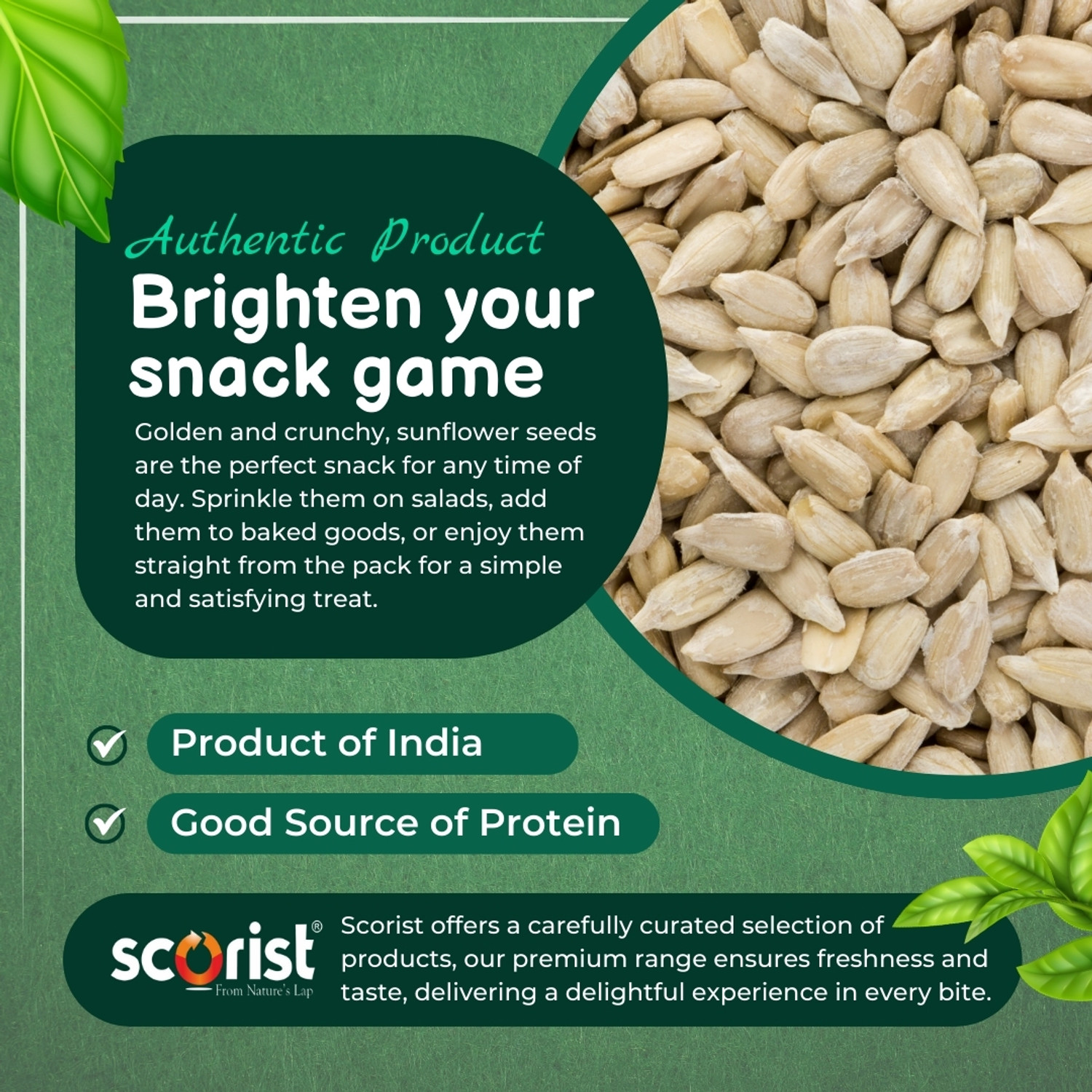 Image of Scorist Premium Raw Sunflower Seeds | 400g Sunflower Seeds