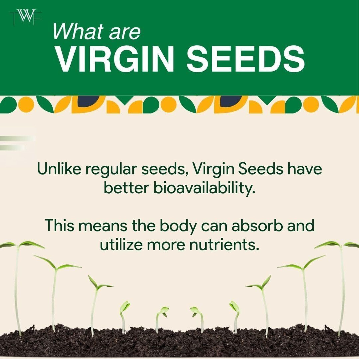 Image of TWF Sunflower Seeds | Mega Crunchy Unsalted | Best Use in Snacking, Baking & Cooking Sunflower Seeds