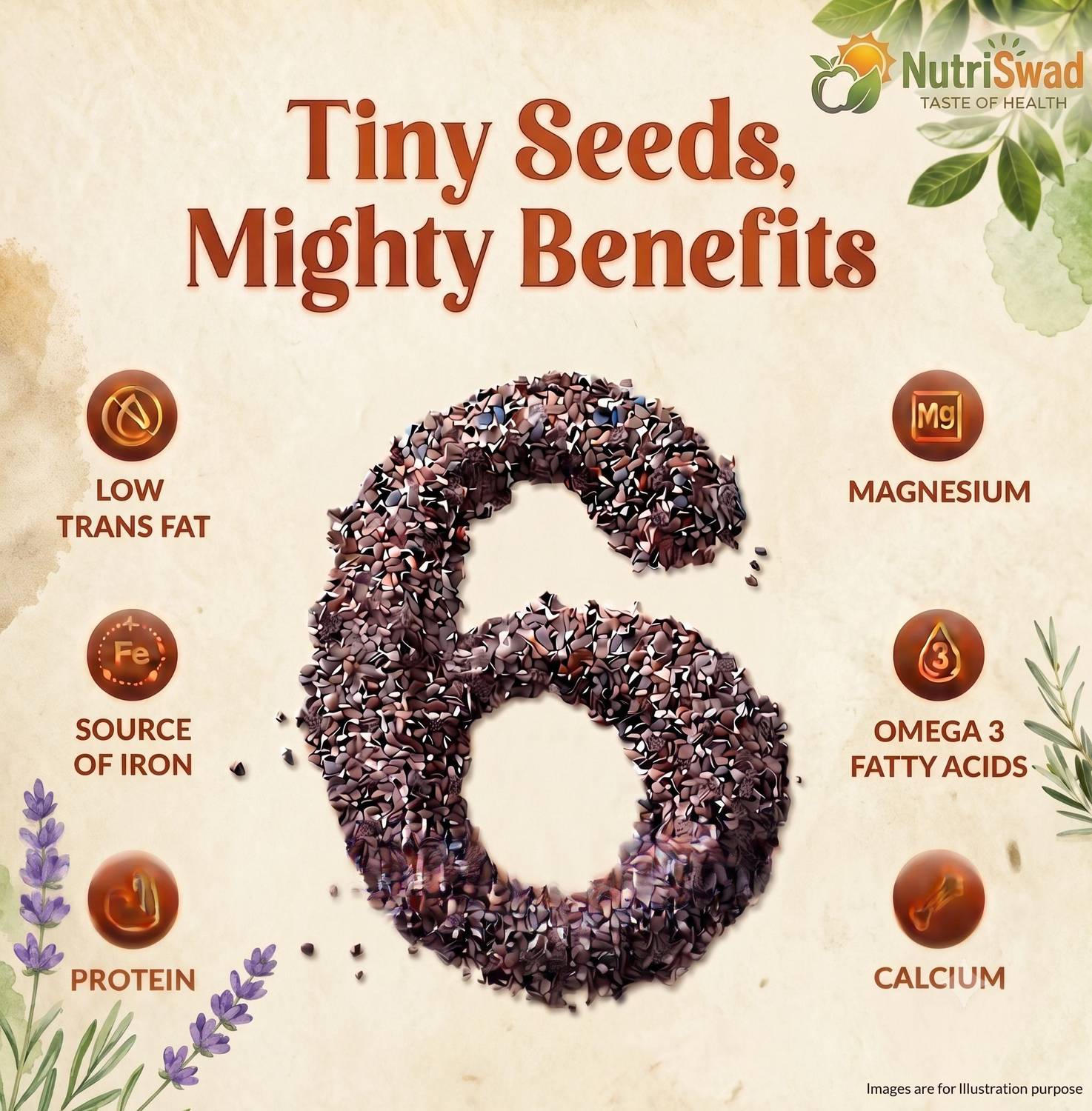 NutriSwad Premium Chia Seeds - Image 4