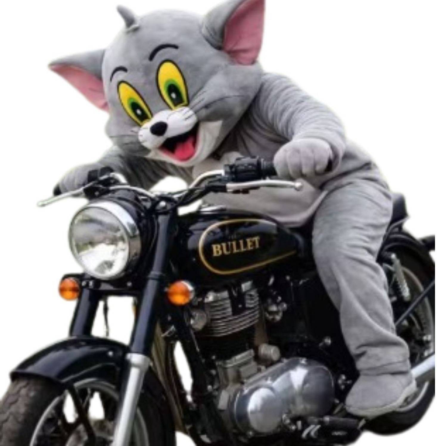 ANUJTOYS Tom Cartoon Cat Mascot Costume Full Body Grey Cat Suit with Head Mask for Adults Elders Halloween Costume