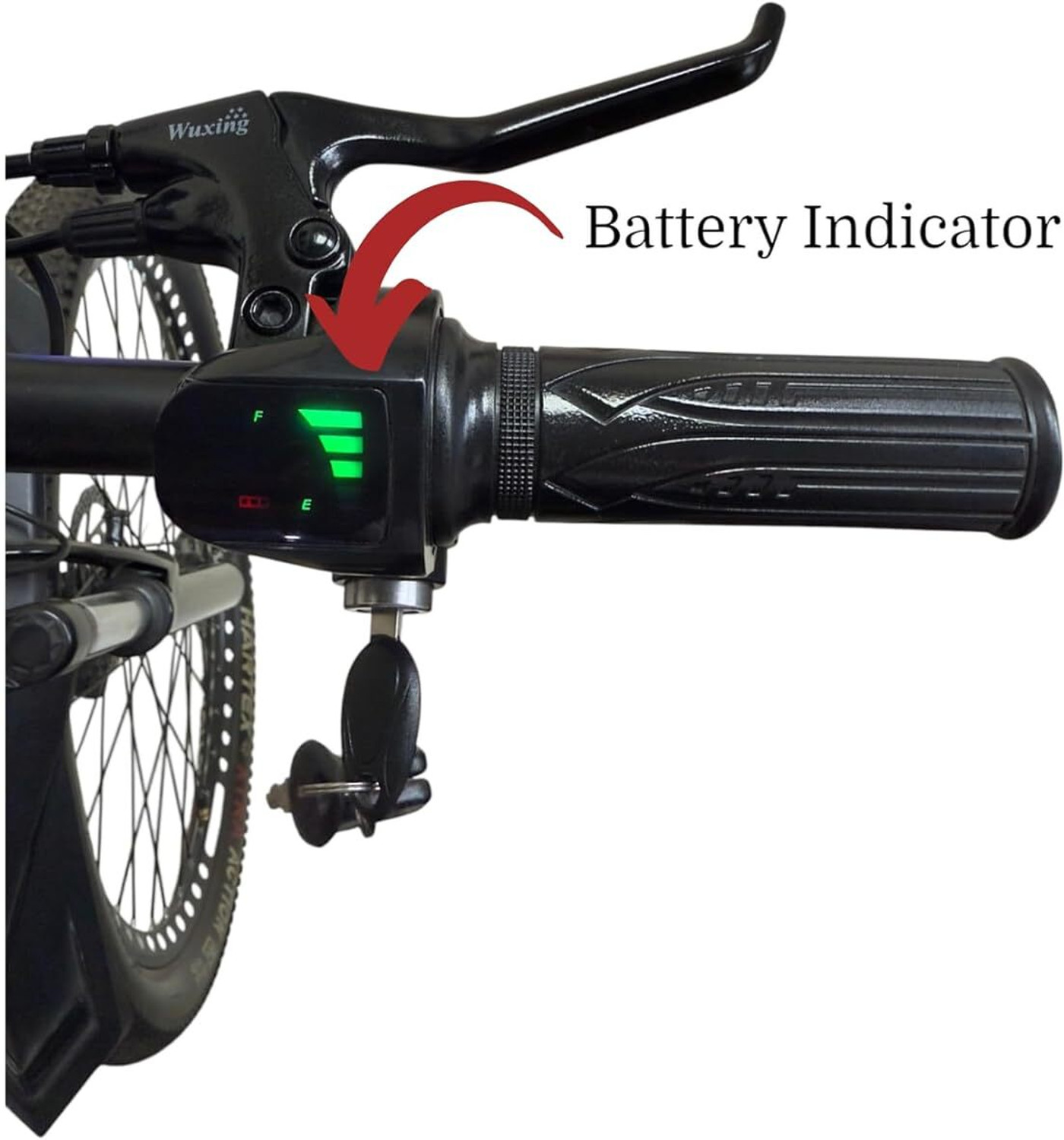 Image of Neelam N.E-2.9T-7.8AH-REMOVABLE BATTERY 29 inches Single Speed Lithium-ion (Li-ion) Electric Cycle