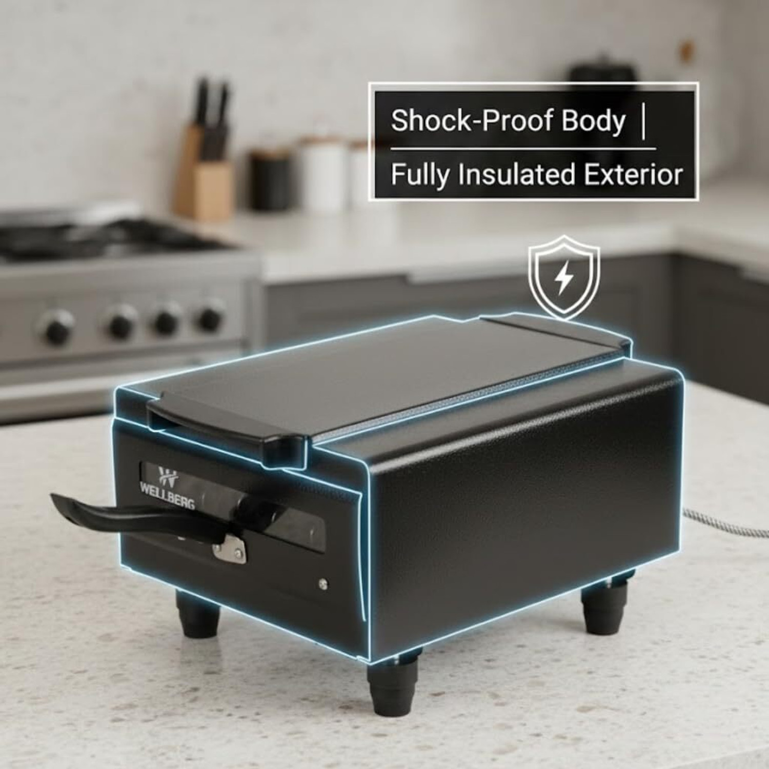 Image of WELLBERG Heavy-Duty Pizza Oven for Grilling, Roasting, and Oil-Free Healthy Cooking Needs Electric Tandoor