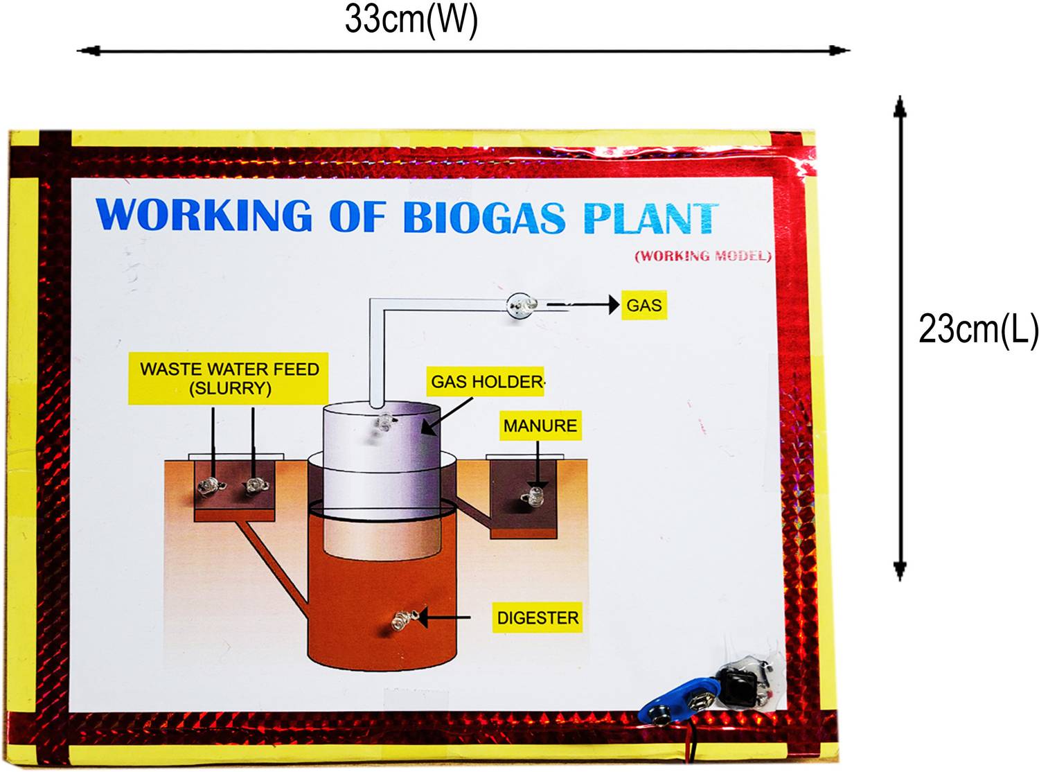 enzymes plant Plant Enzymes main image 1