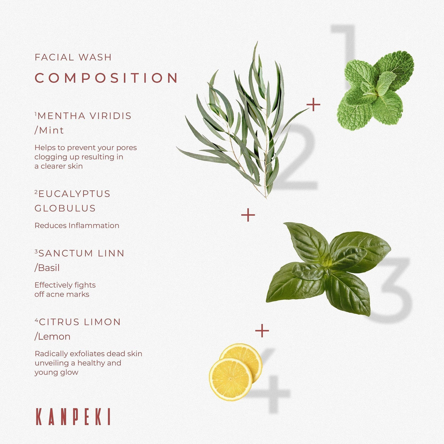 Image of Kanpeki Facial Wash |Face Cleanser Reduces Acne & Provides Bright Skin Normal, Oily Skin Face Wash
