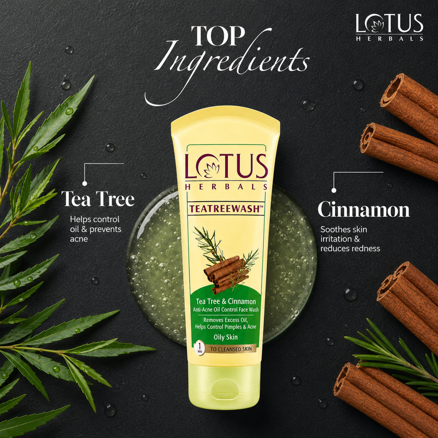 Image of LOTUS HERBALS Teatreewash | with Tea Tree Oil & Cinnamon | Anti Acne | Oil Control | 100g*2 Face Wash