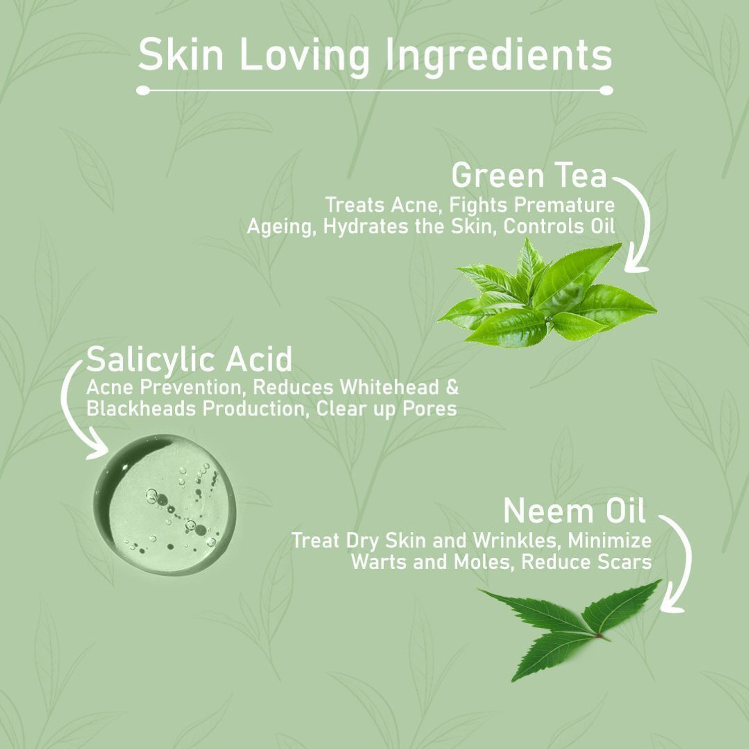 Image of Biofresh Green Tea Paraben-Free and Pore-Tightening Formula for All Skin Types Face Wash