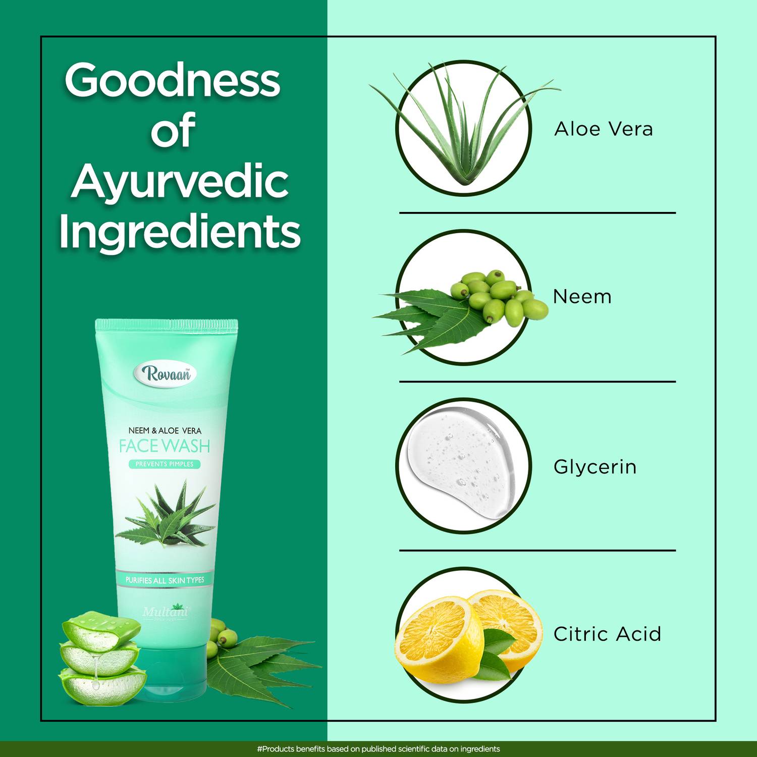 Multani Rovaan Neem & Aloe Vera Face Wash - Image 3
