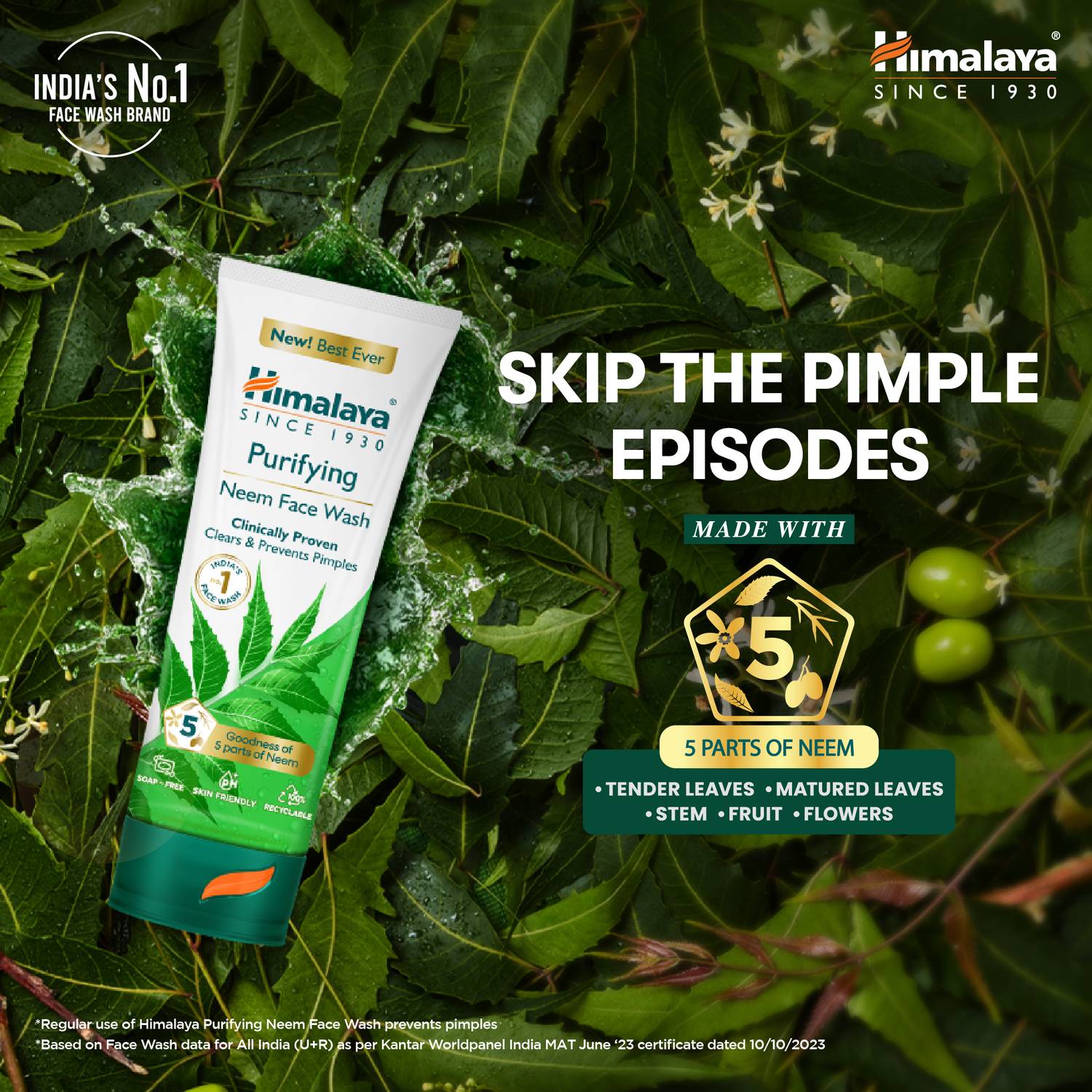 HIMALAYA Purifying Neem Face Wash 400 ml - Image 3