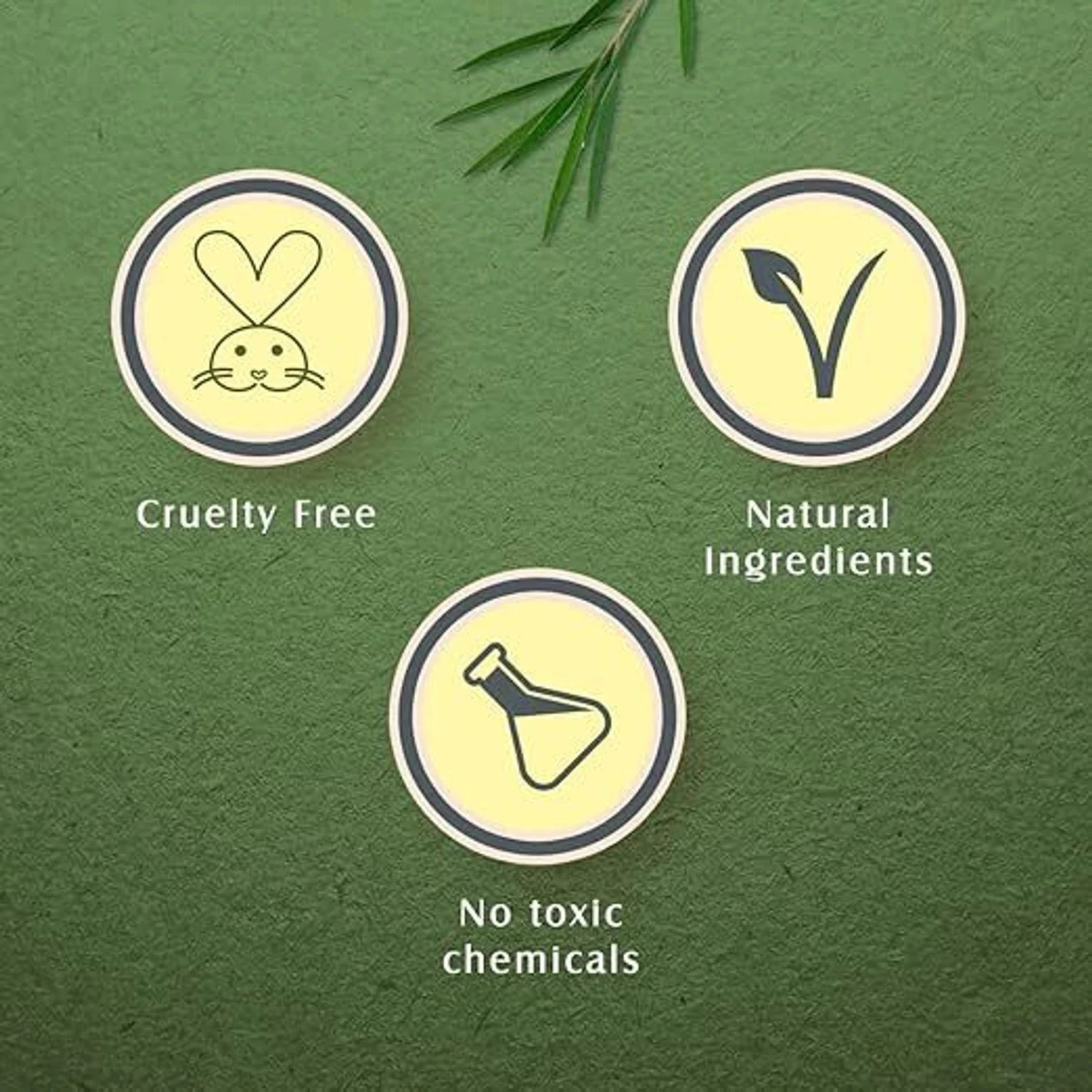 Image of LOTUS HERBALS Teatreewash | with Tea Tree Oil & Cinnamon | Anti Acne | Oil Control | Face Wash