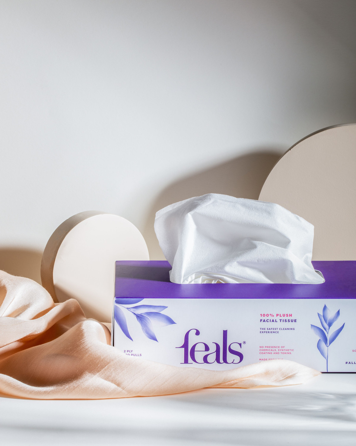 Image of FEALS 2 Ply Facial Tissue Paper Box - 100 Pulls / Box (Pack of 5) (500 Tissues)