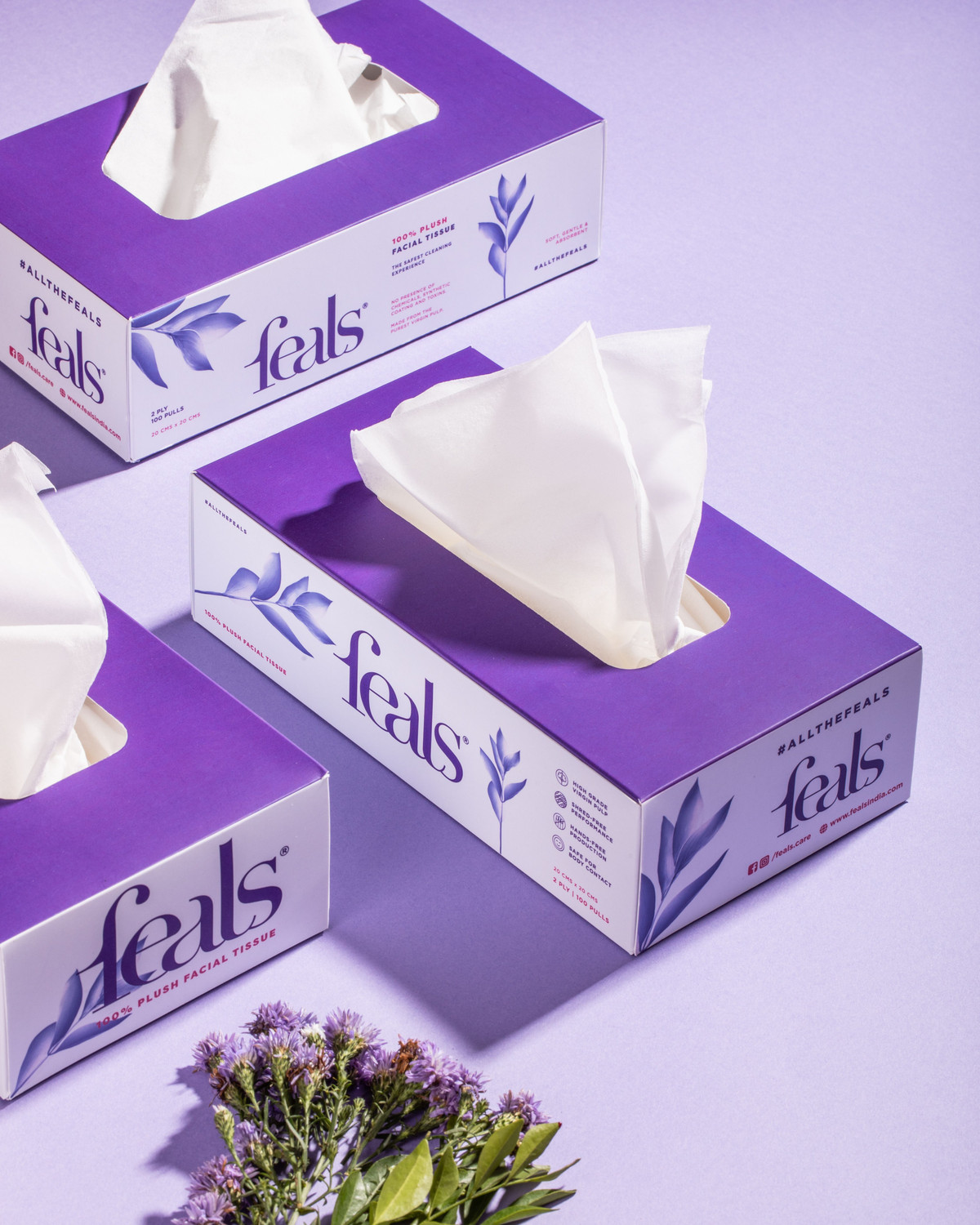 Image of FEALS 2 Ply Facial Tissue Paper Box - 100 Pulls / Box (Pack of 5) (500 Tissues)