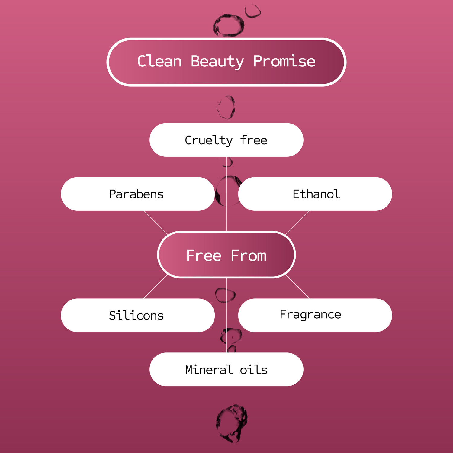 Image of Scientistry 2% Salicylic Serum Powered With 5% PHA Complex For Oily Acne Prone Skin
