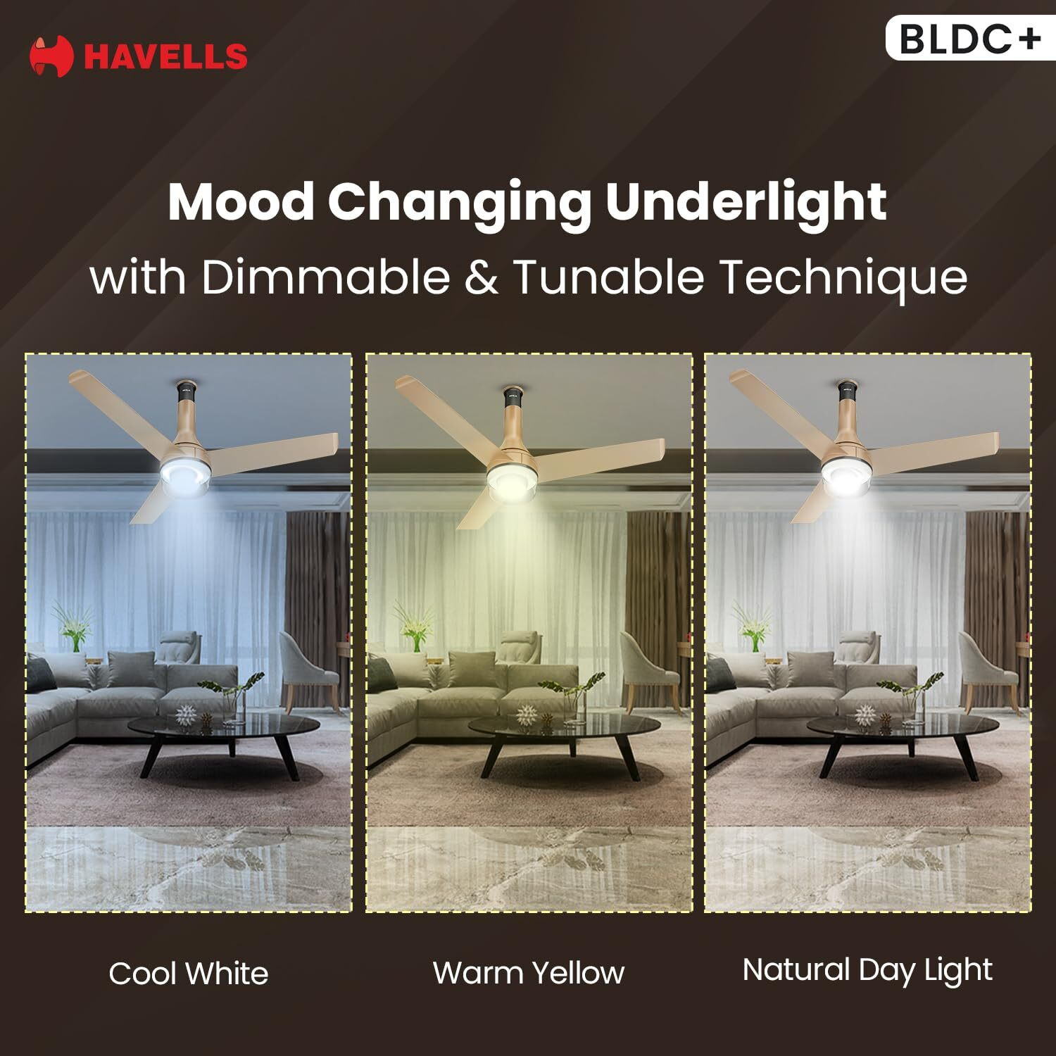 Image of HAVELLS Crista BLDC Underlight Remote Controlled, Smart Fan, with 2 Year Warranty 1200 mm Ceiling Fan