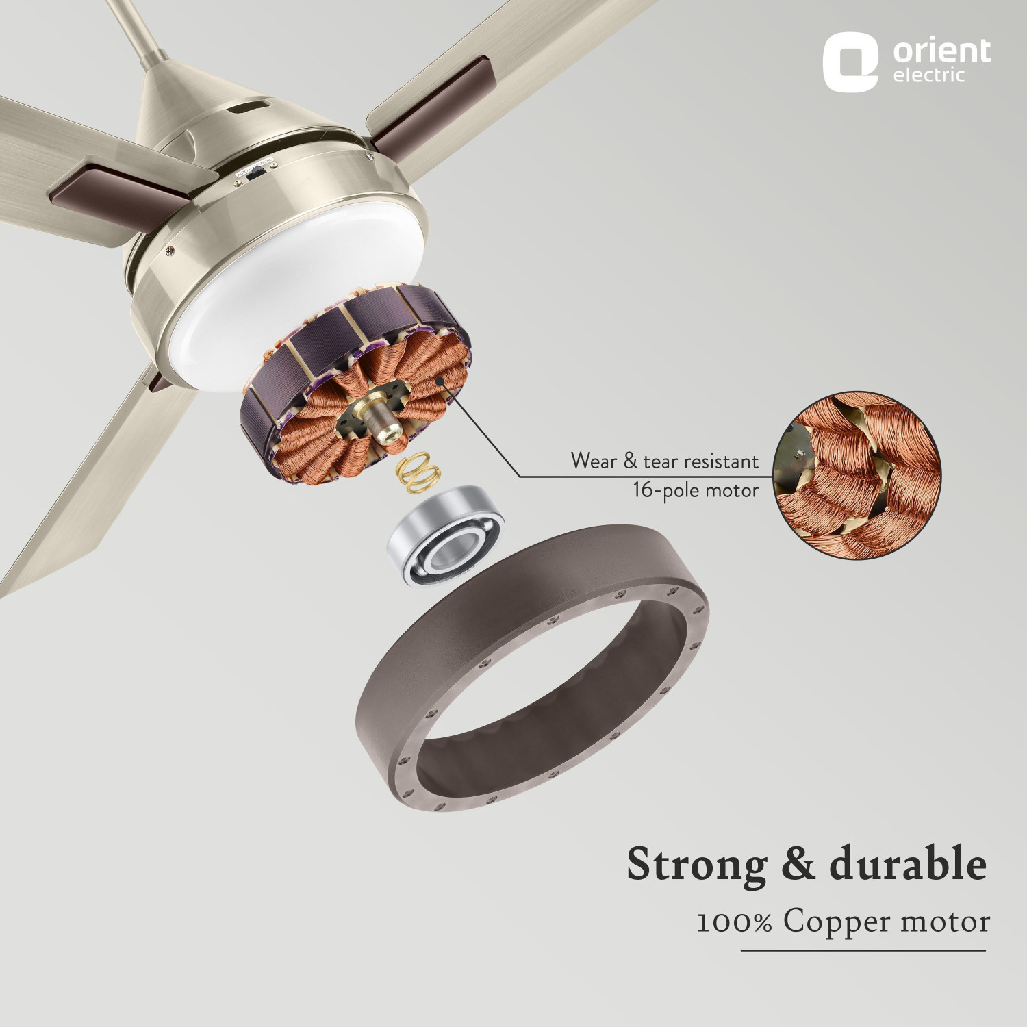 Image of Orient Electric Spectra with 2 Year Warranty Underlight 1200 mm Ceiling Fan (Pewter finish | Pack of 1)