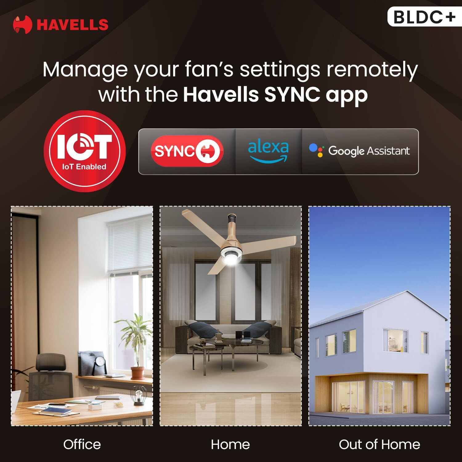 Image of HAVELLS Crista BLDC Underlight Remote Controlled, Smart Fan, with 2 Year Warranty 1200 mm Ceiling Fan