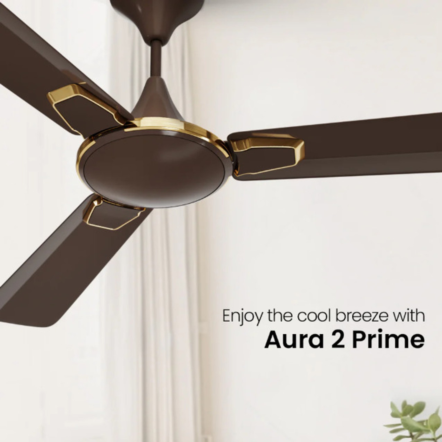 Image of Crompton Aura Prime Anti Dust Pack of 2 with 1 Year Warranty 1200 mm Ceiling Fan