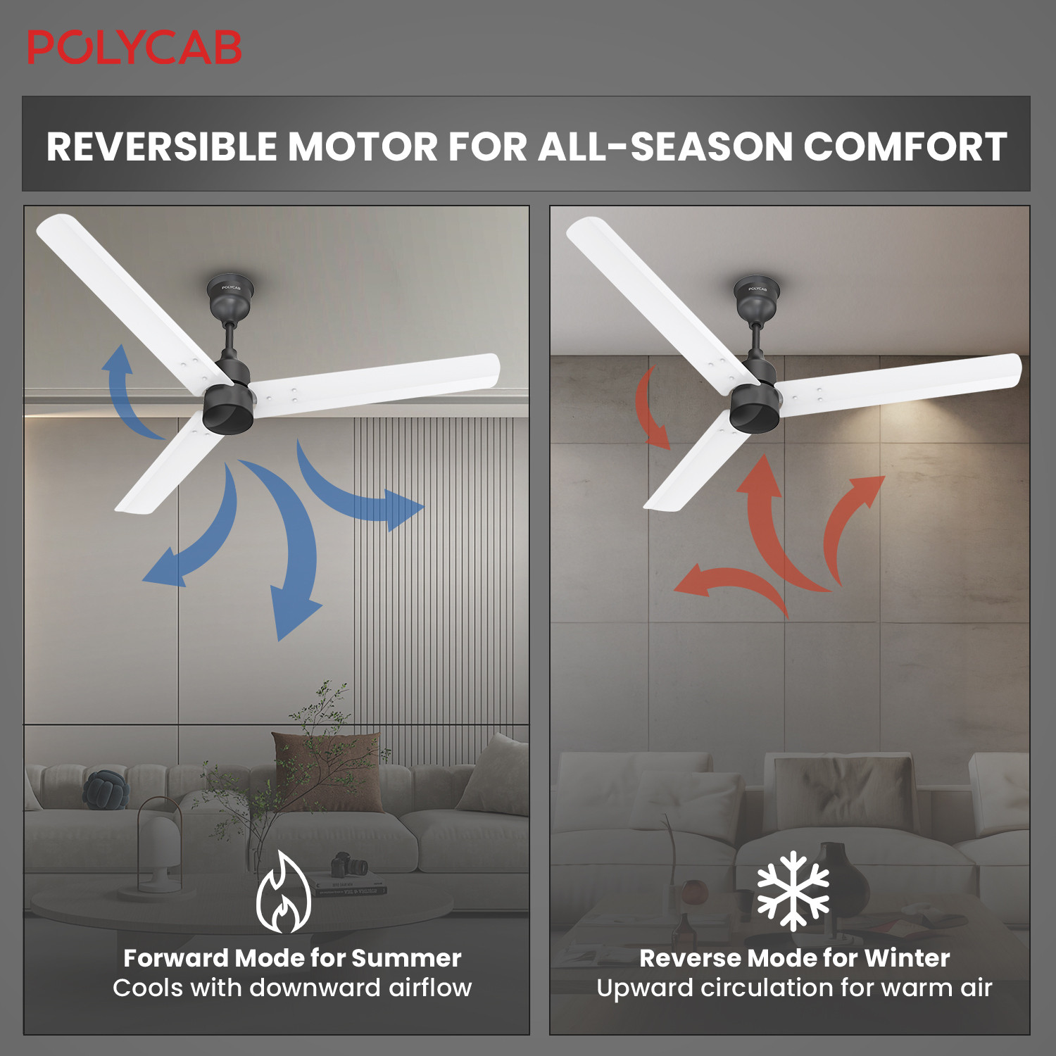 Image of Polycab Wizzy Plus 1200mm|100% Copper|High Air Delivery with 3 Year Warranty BLDC Motor with Remote 1200 mm Ceiling Fan